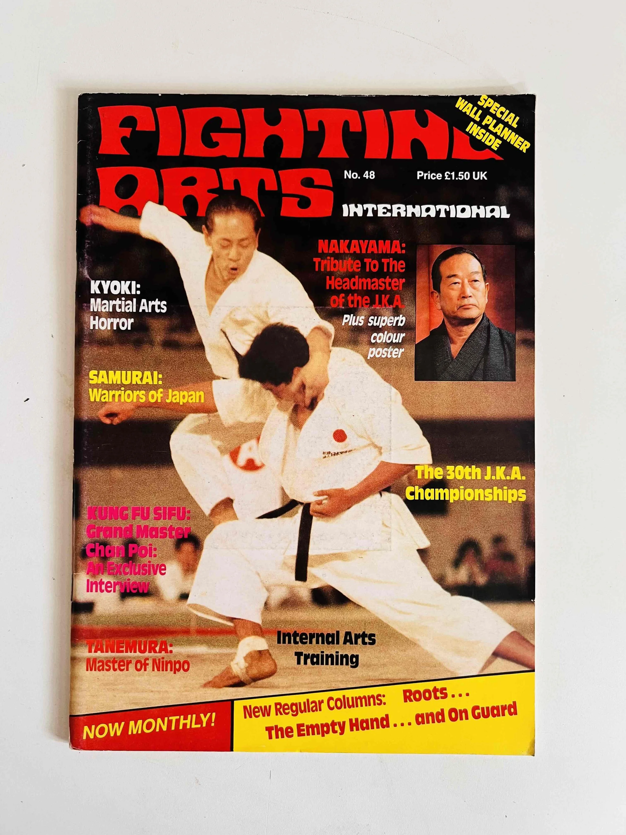 Fighting Arts International - No. 48