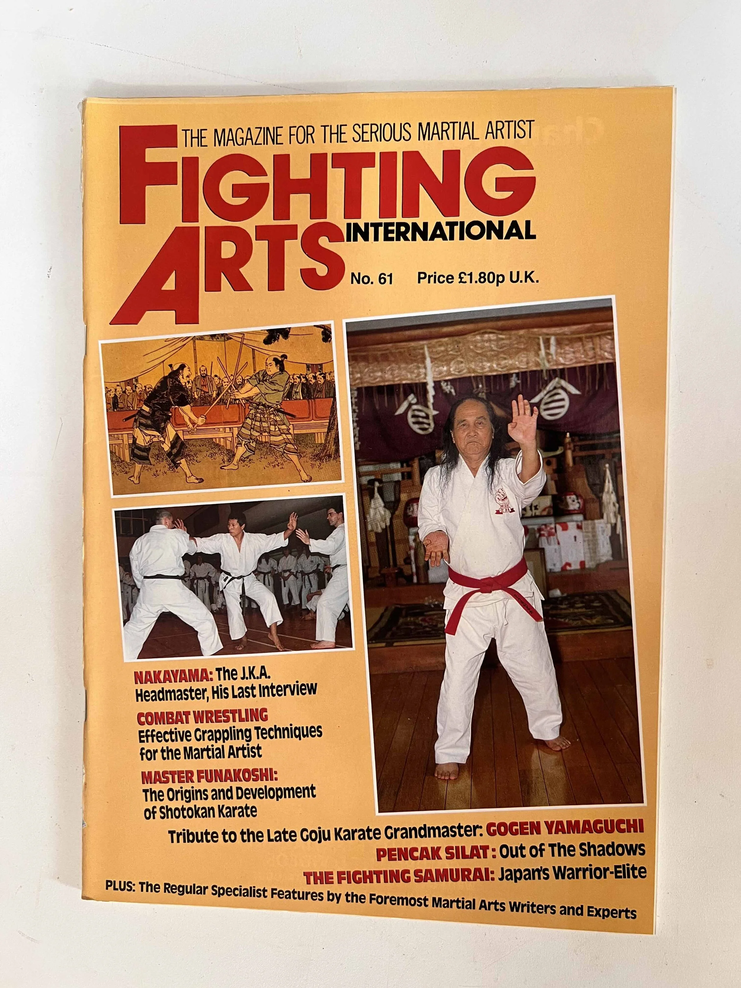 Fighting Arts International - No. 61