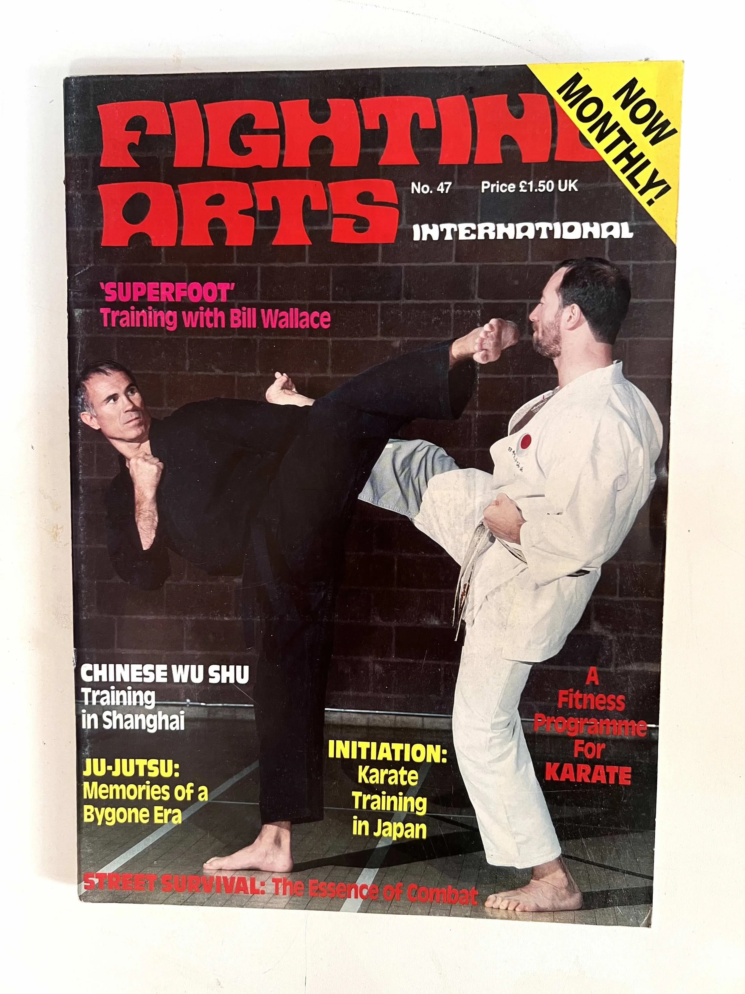 Fighting Arts International - No. 47