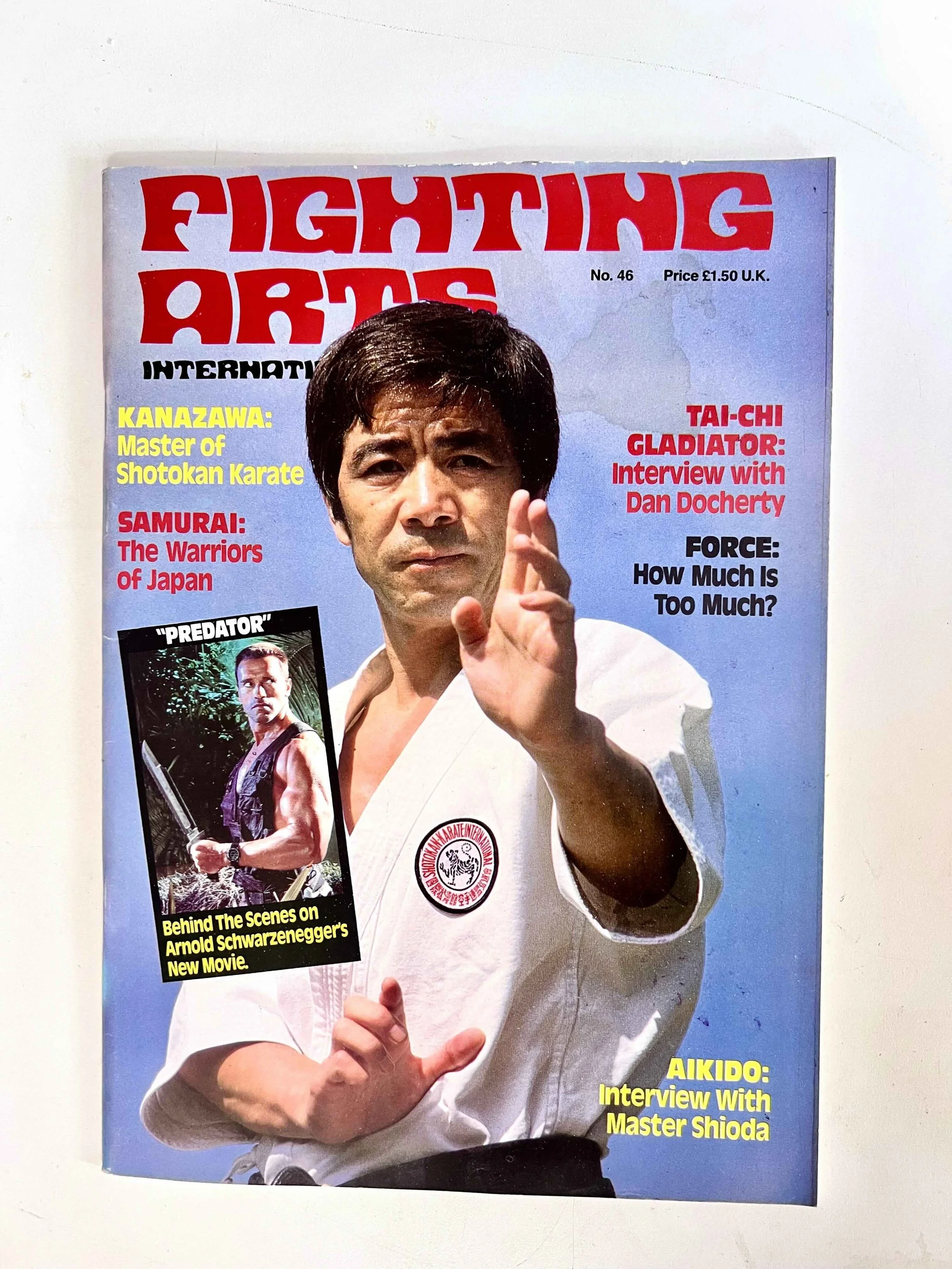 Fighting Arts International - No. 46