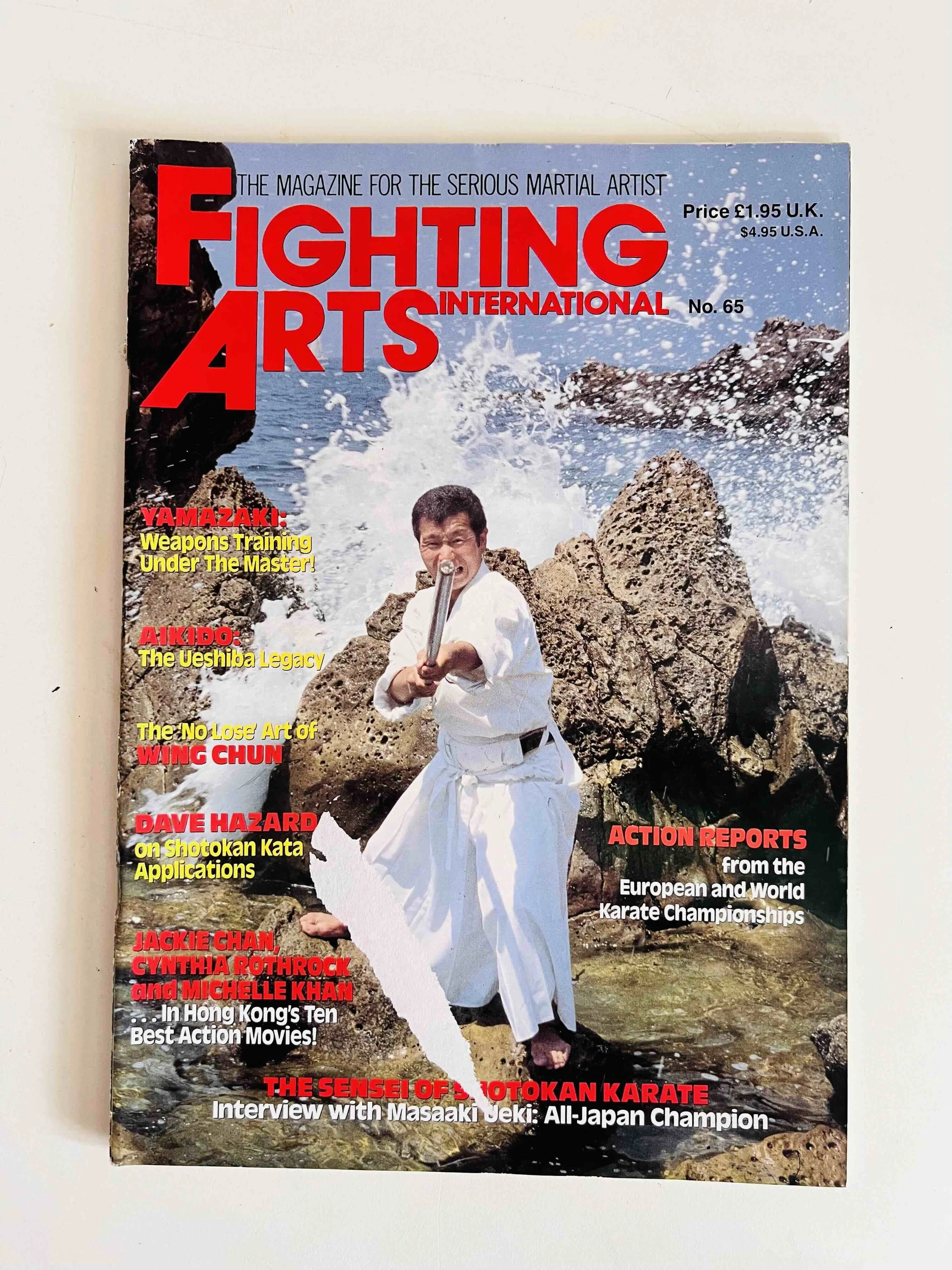 Fighting Arts International - No. 65