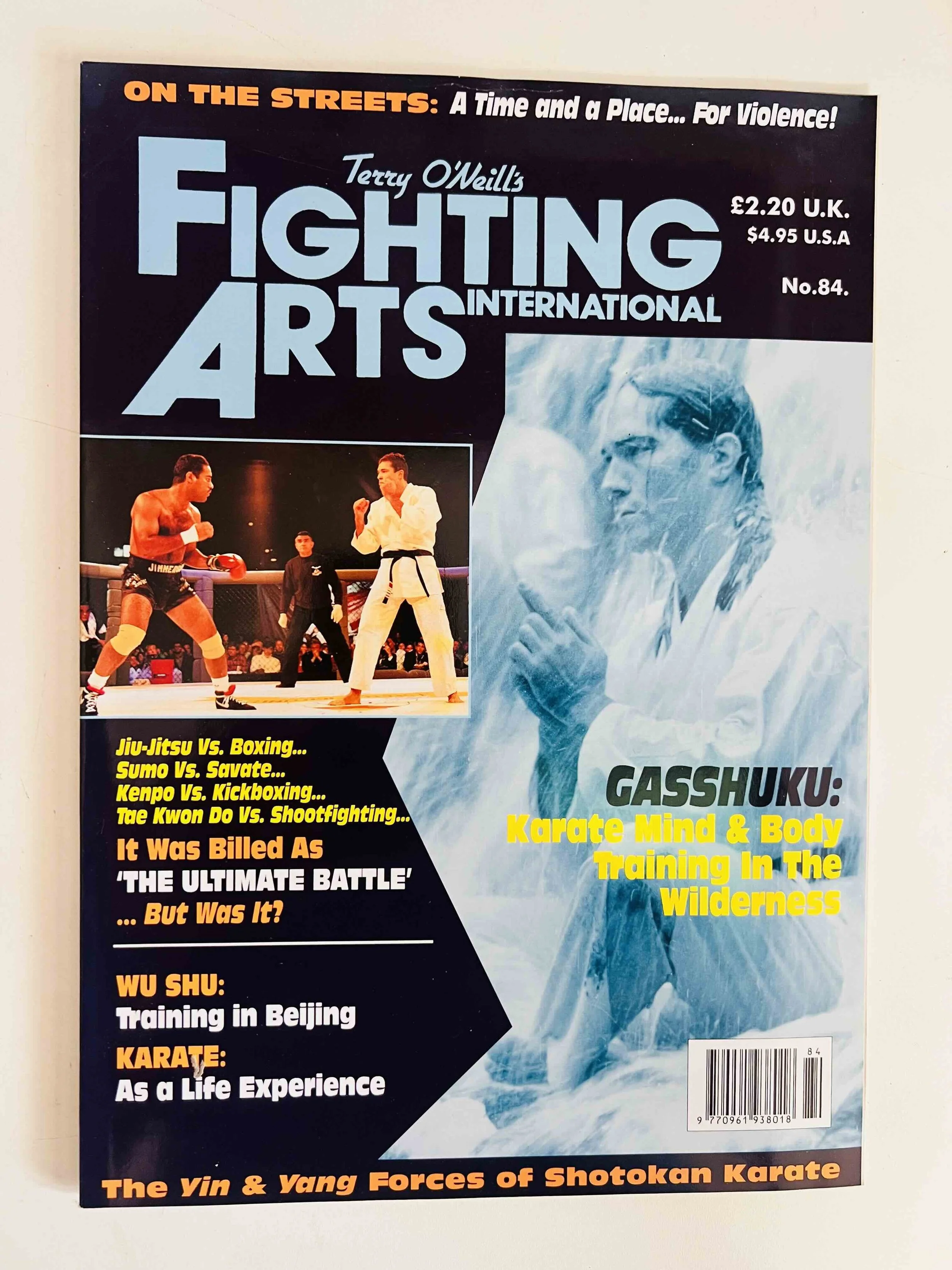 Fighting Arts International - No. 84