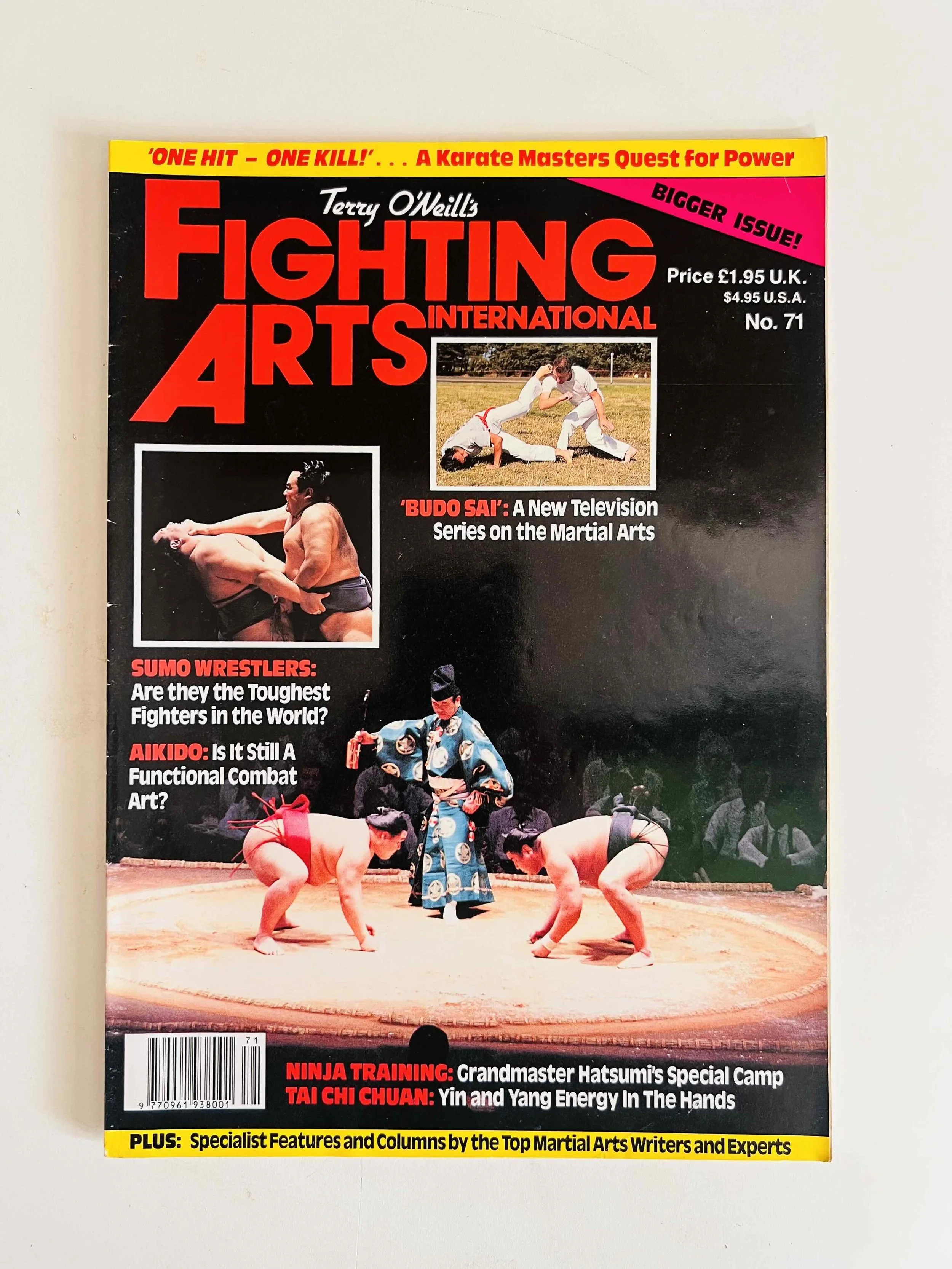 Fighting Arts International - No. 71