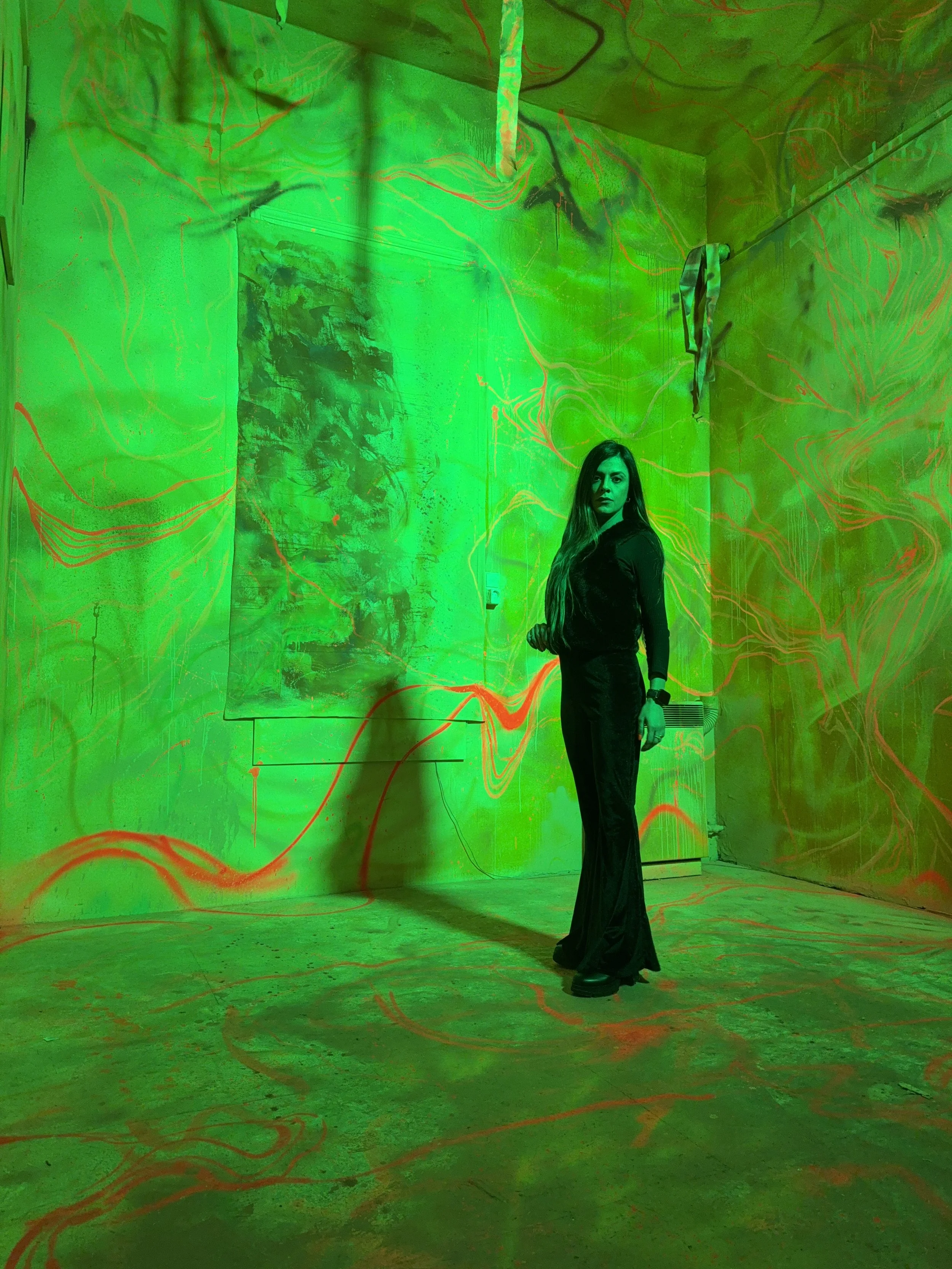 Nothing Hides Like Light, Painted Room Installation, Work.inprogress.Gallery, 2025