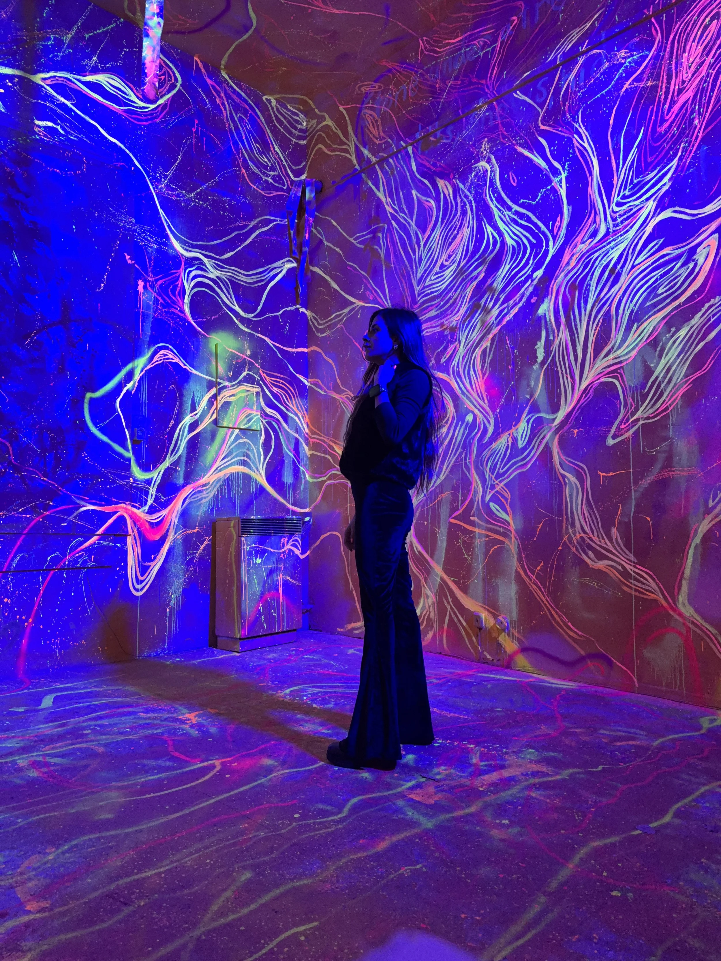 Nothing Hides Like Light, Painted Room Installation, Work.inprogress.Gallery, 2025