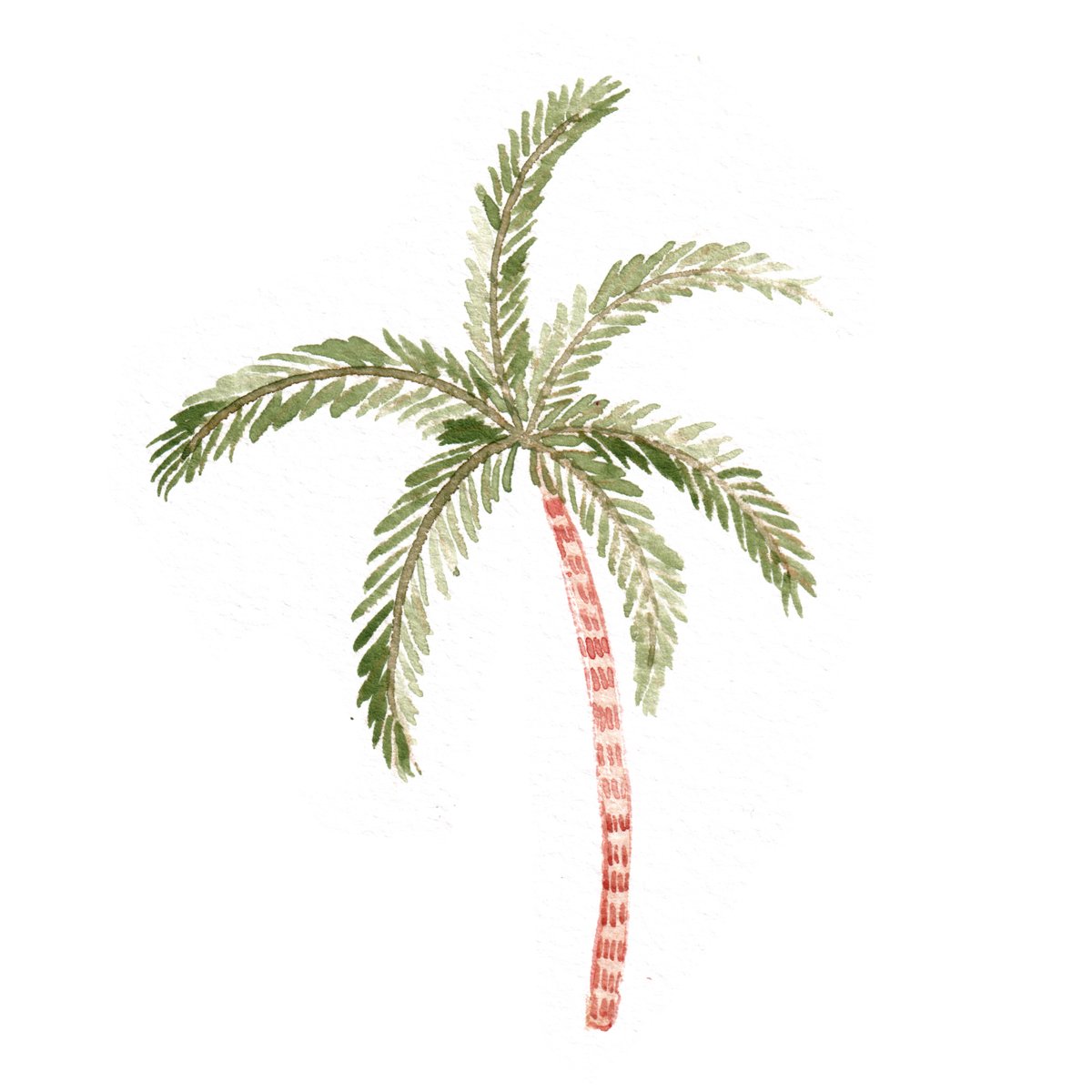 Palm Tree.jpg