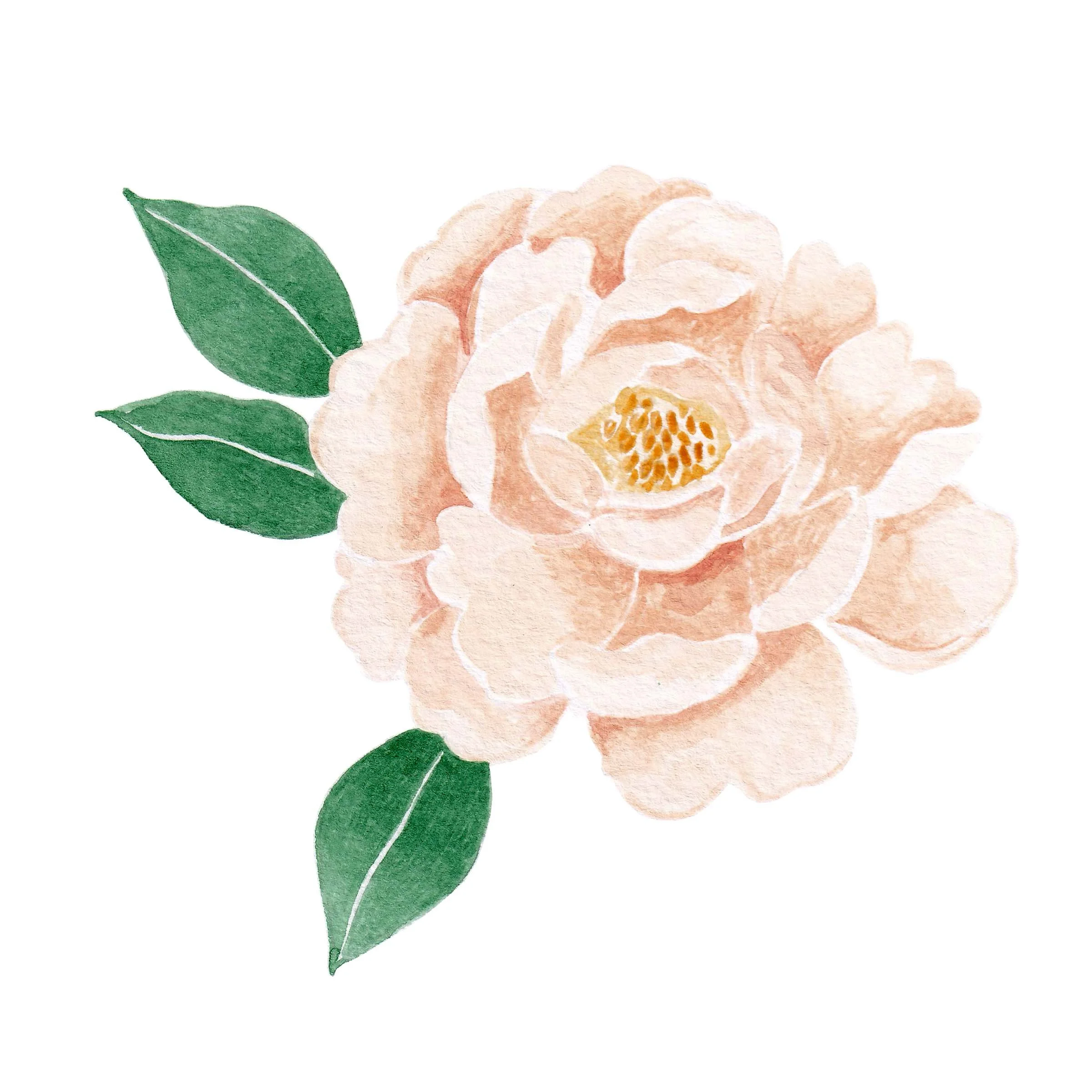 Peony.jpg