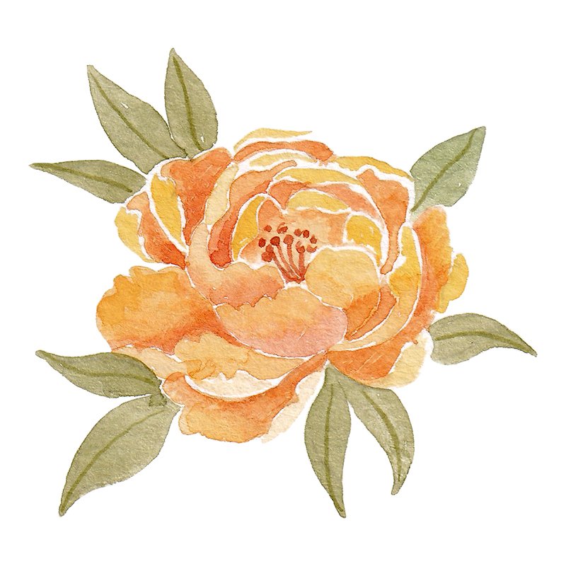 Yellow Peony.jpg
