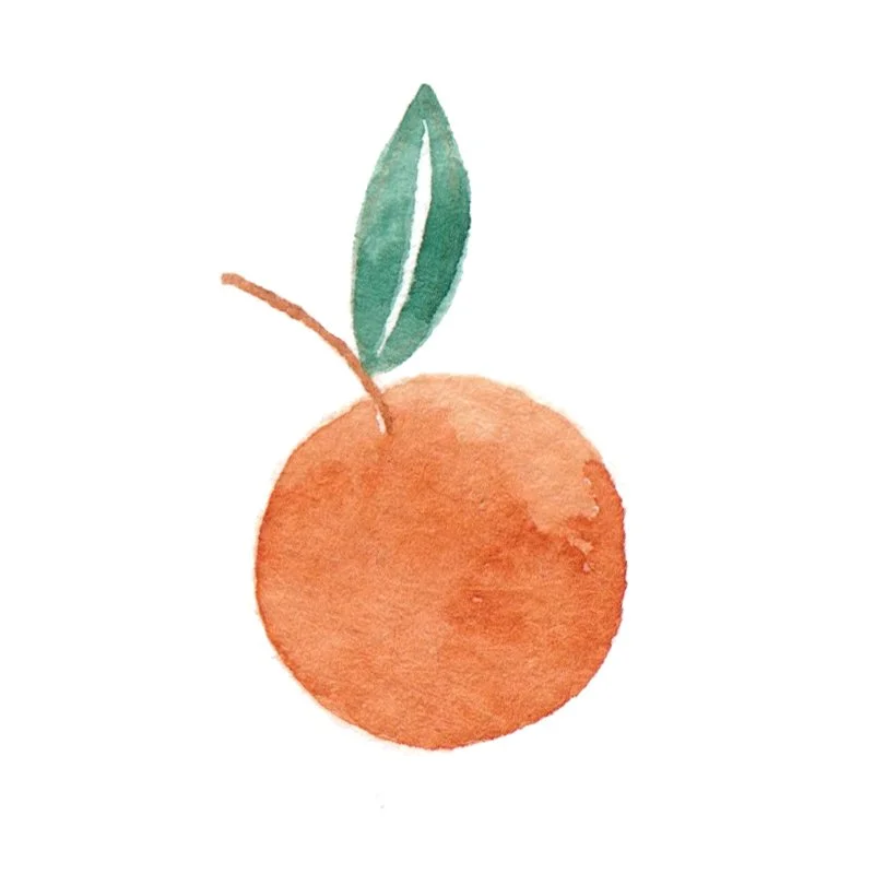 Orange Illustration.jpg