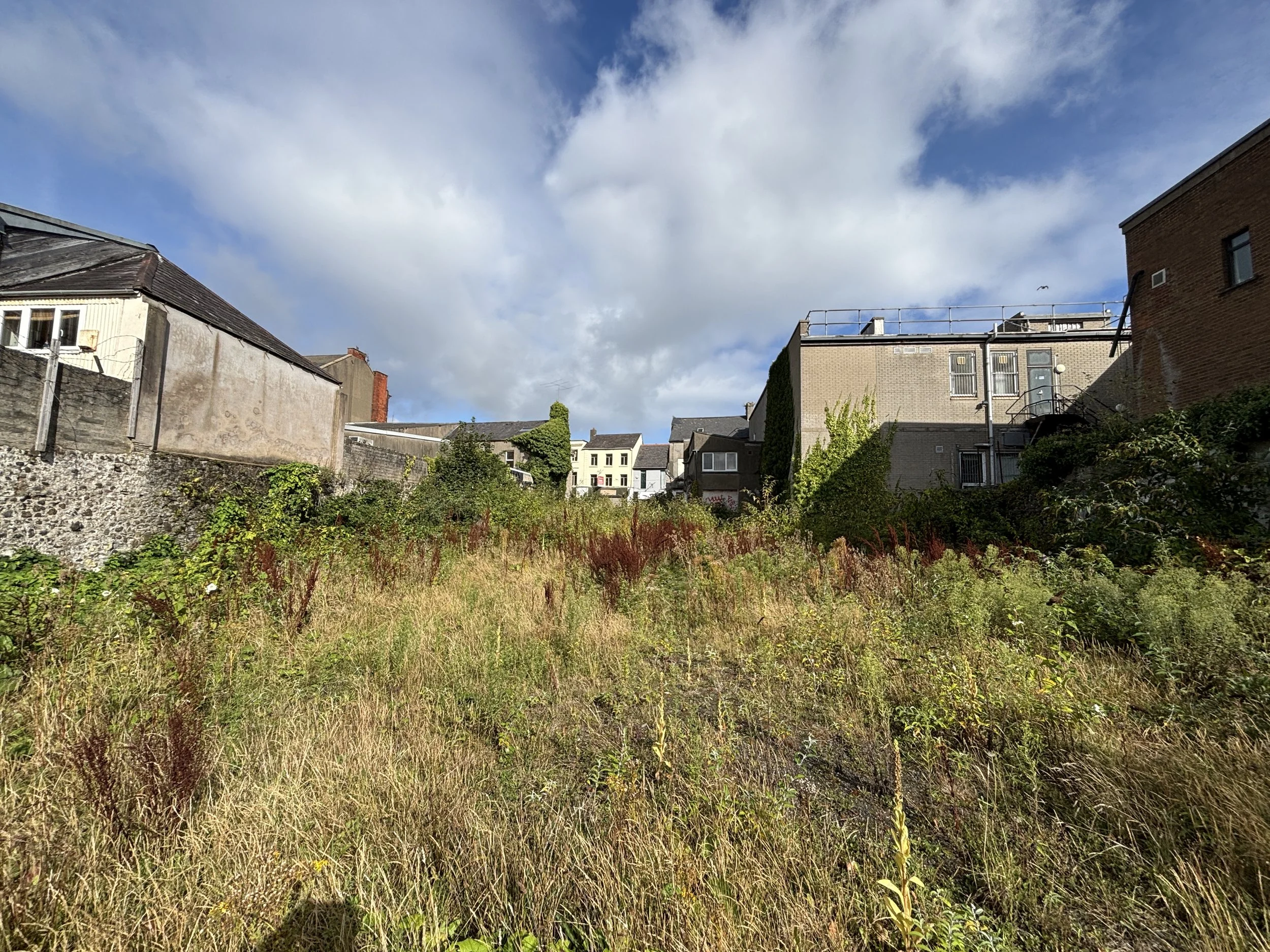 The vacant gap site in central Larne before it became The Cellars Garden, a pop-up park designed by OGU Architects.