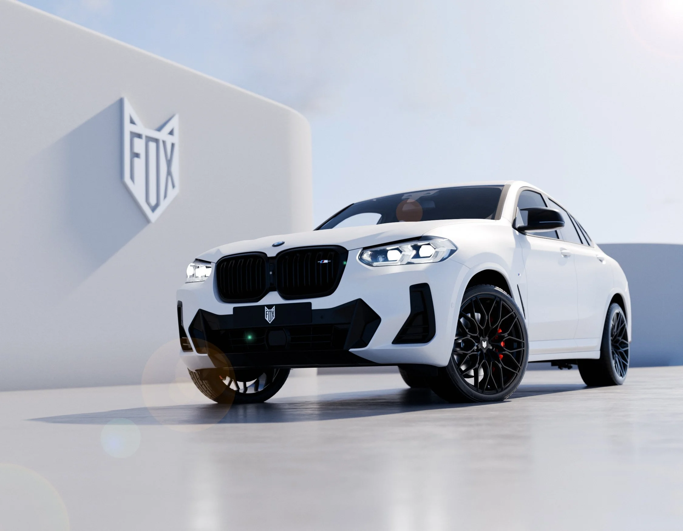 FX9_BMW_X4-5.jpg