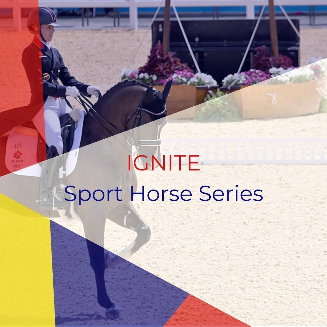 IGNITE Initiatives — IGNITE