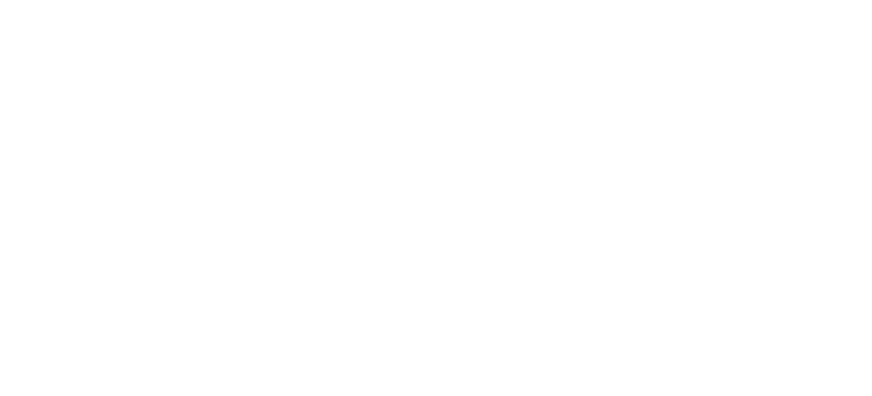 Streetwise