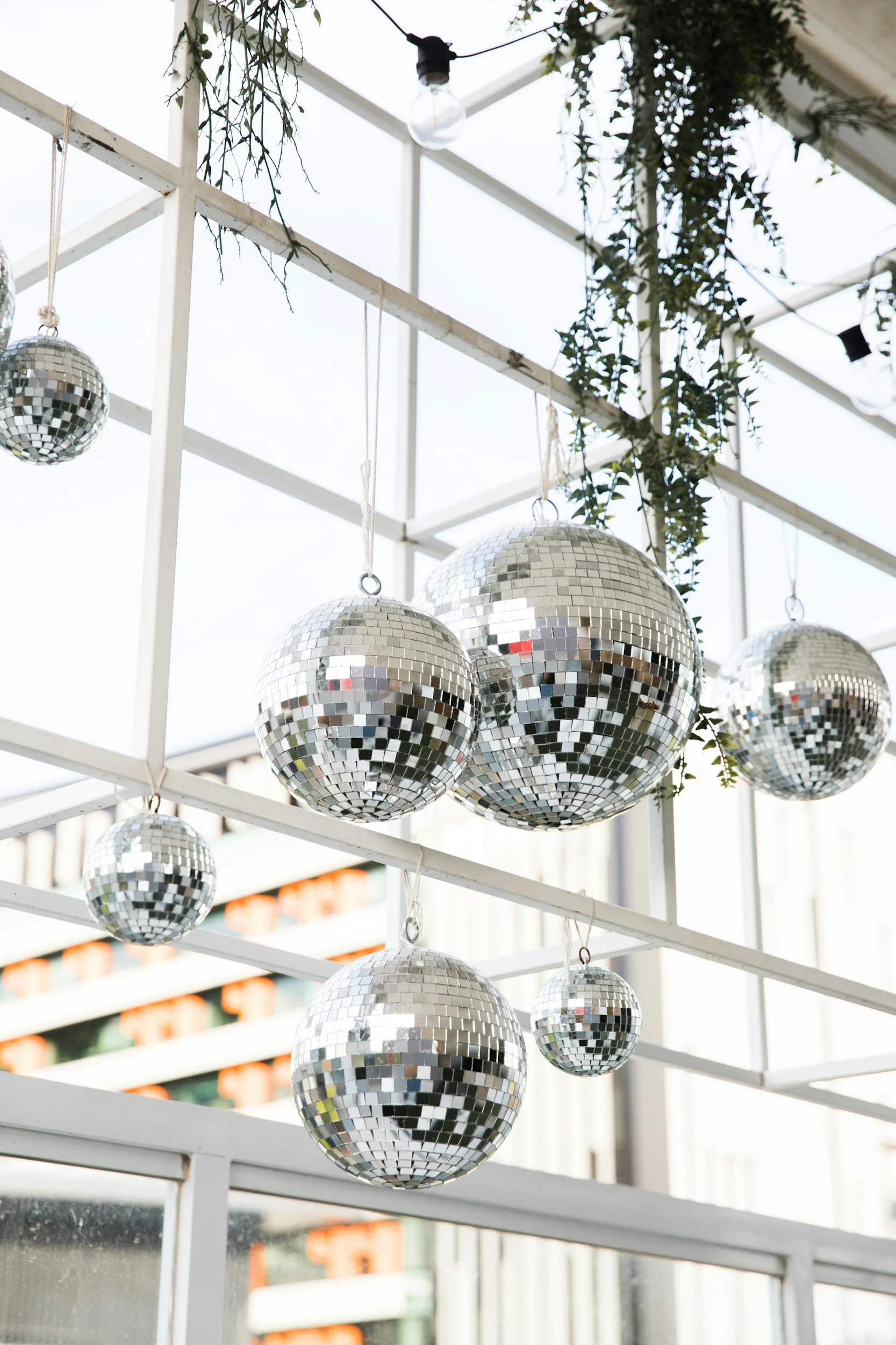 Several disco balls of various sizes hanging from ceiling beams, decorated with green vines, inside a glass structure.