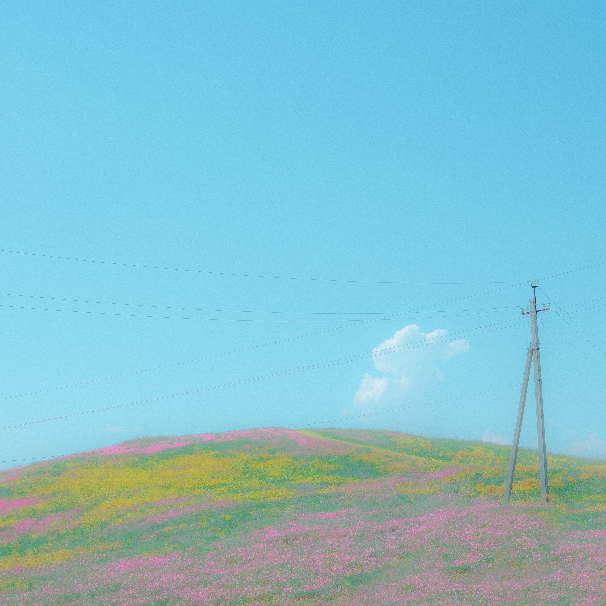 pastelky.jpeg