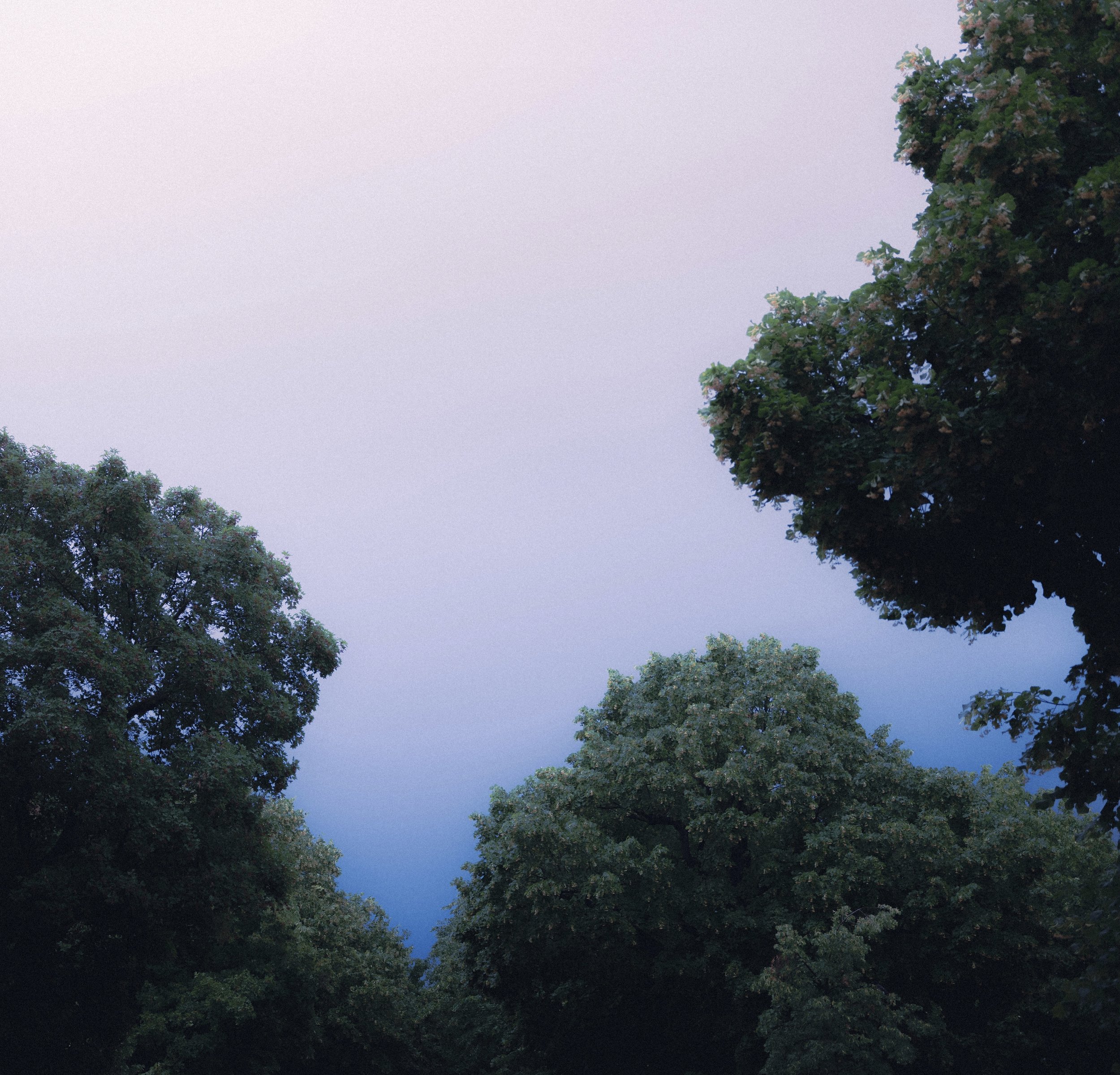 E6D7EE18-5DEE-4C11-A145-CDAF1811D5E7.jpeg