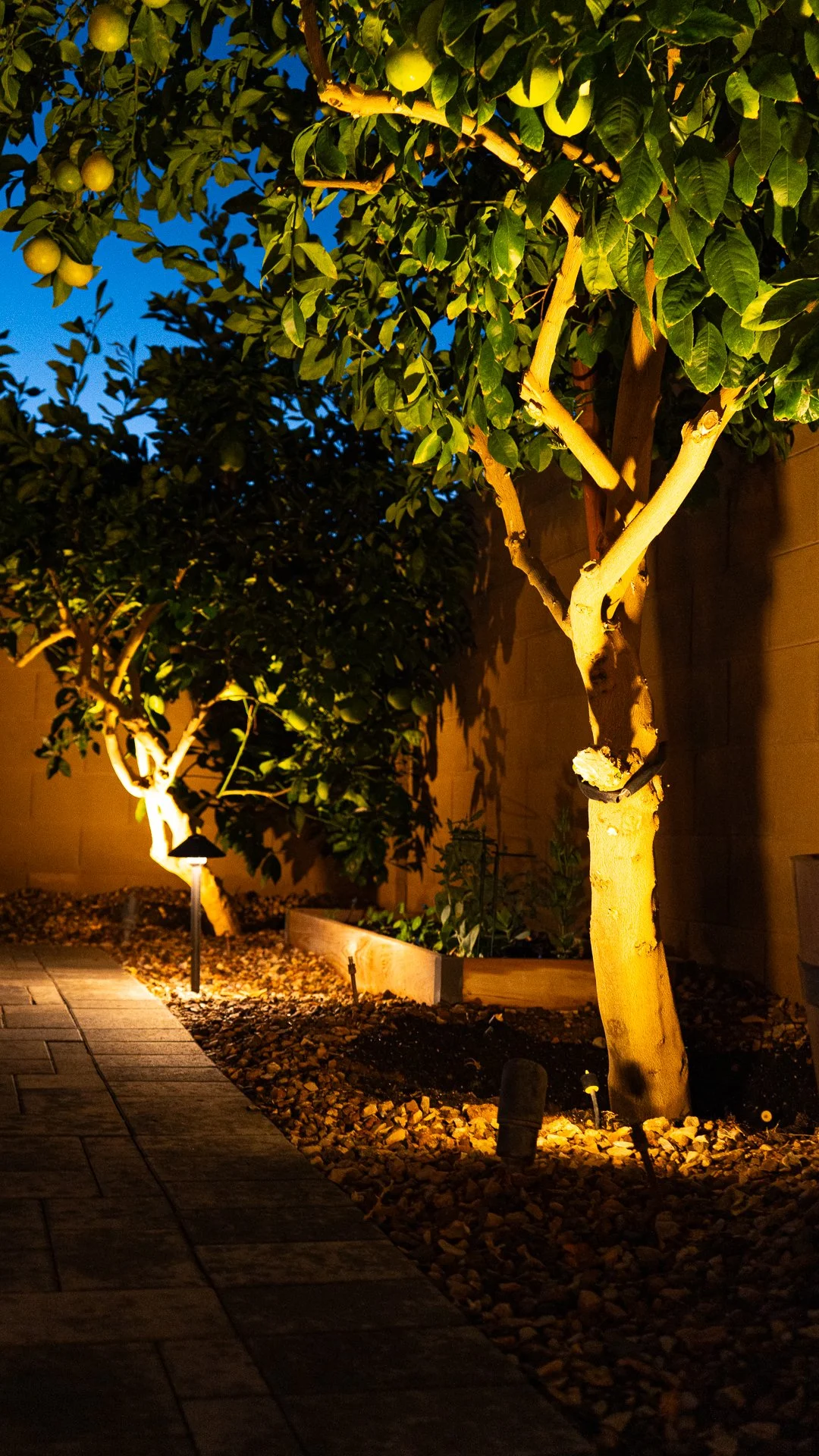 Low Voltage Landscape Lighting Path Lights installed in Taylor Morrison Rancho Mercado Rio Vista in Surprise AZ
