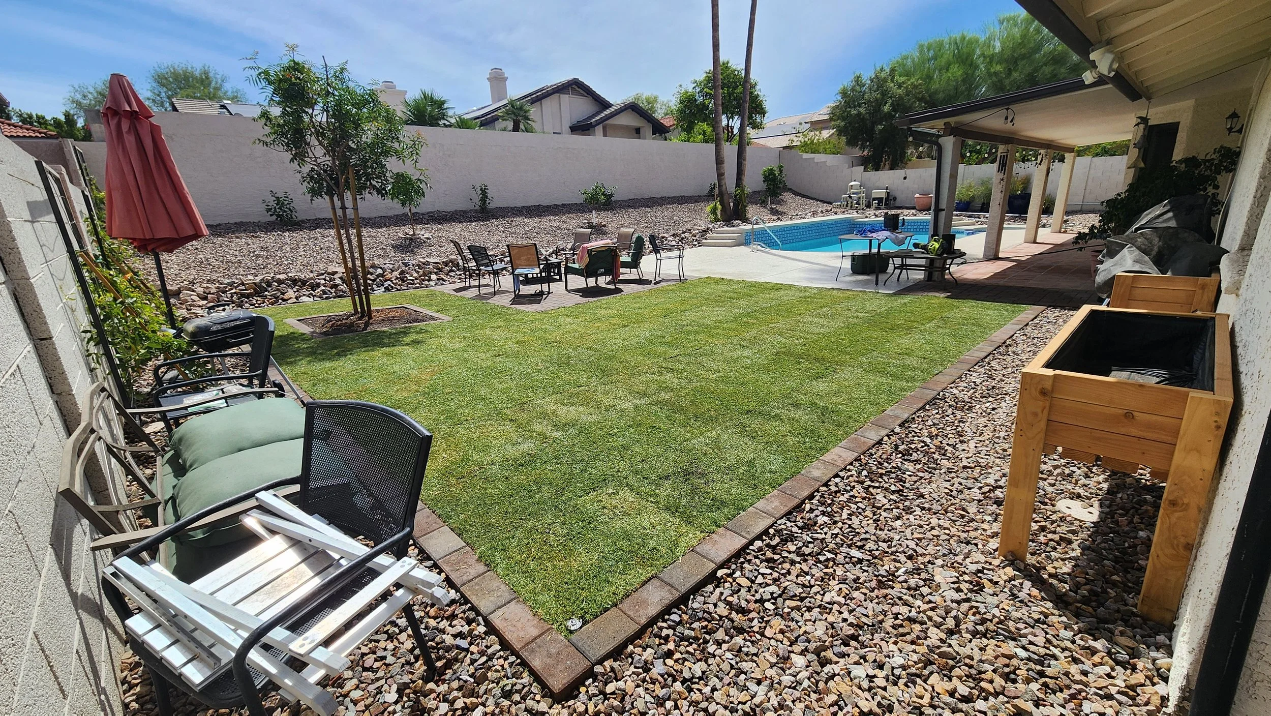 Backyard remodel of new sod, sprinklers, gravel, pavers, and planting in Phoenix, AZ