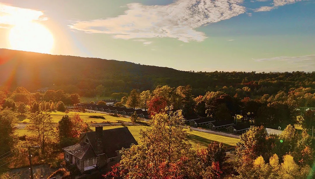 History and the Future