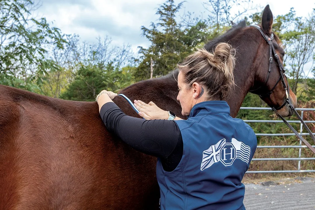 Improving Equine Care