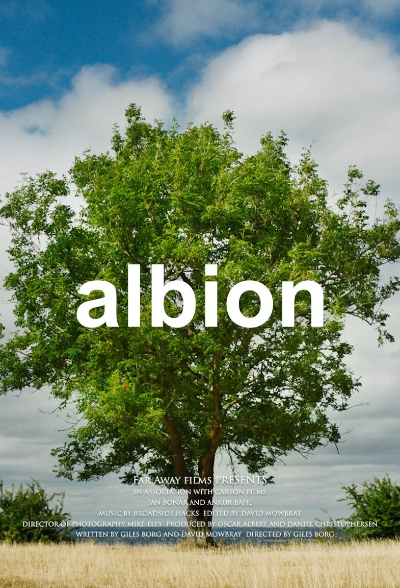 ALBION POSTER VERTICAL.jpg