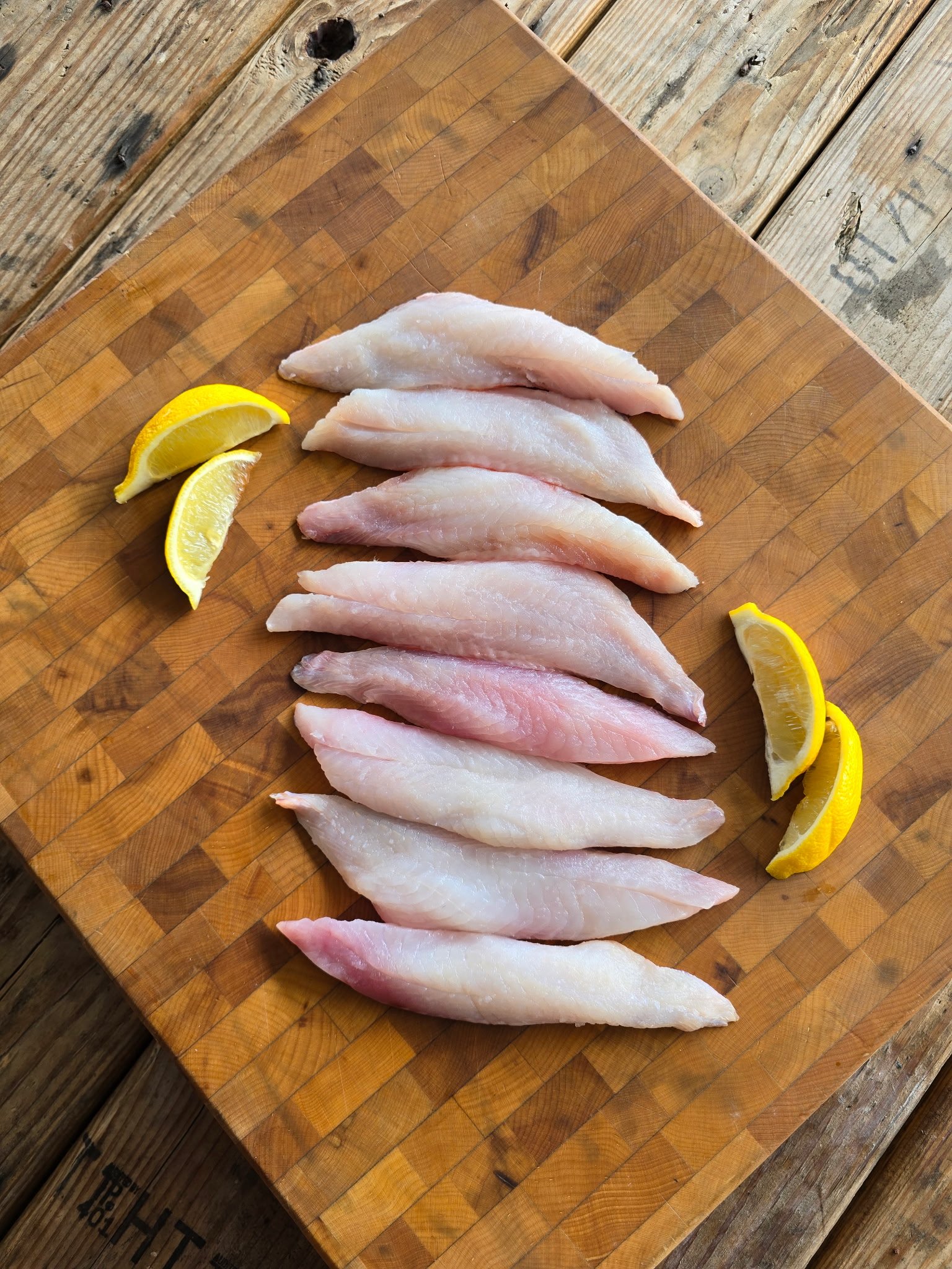 Ocean Perch (PREORDER)