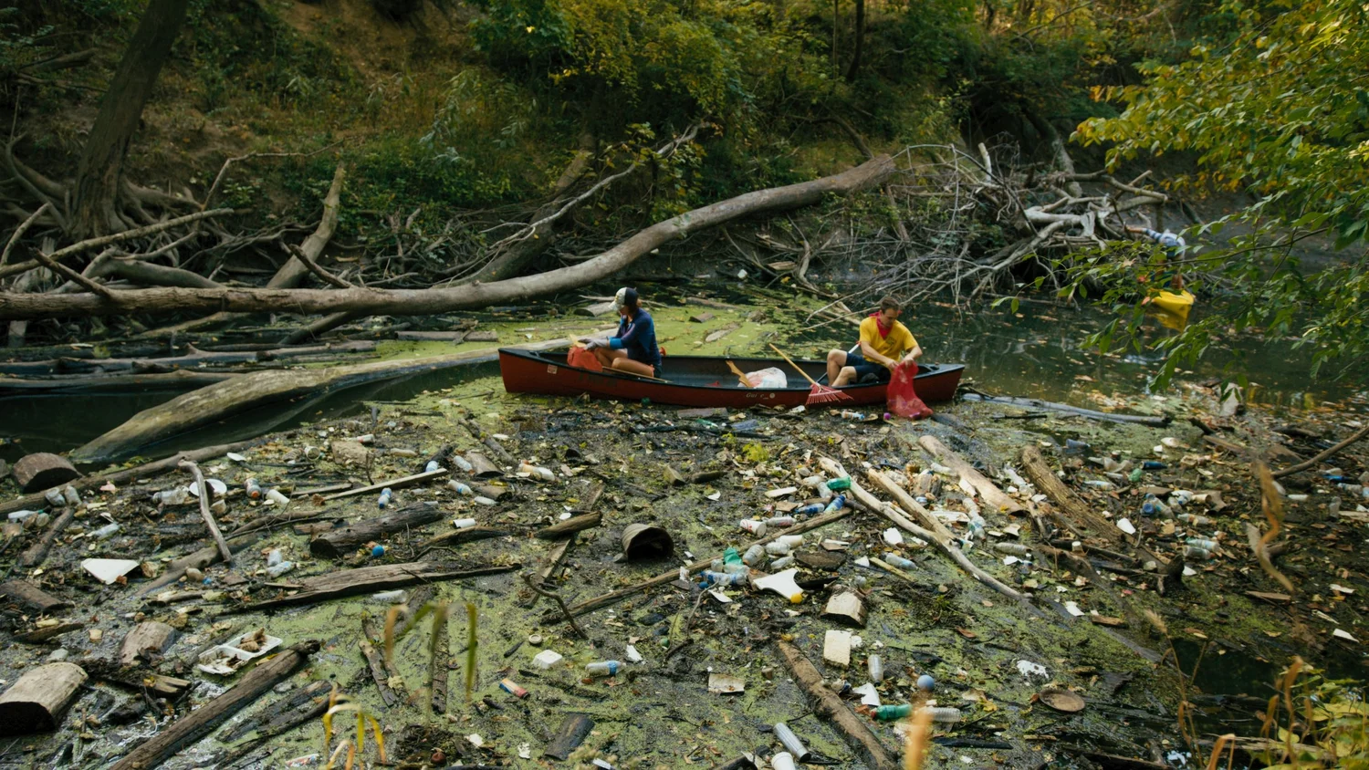 Plastic Ril Problem Ripples of Plastic