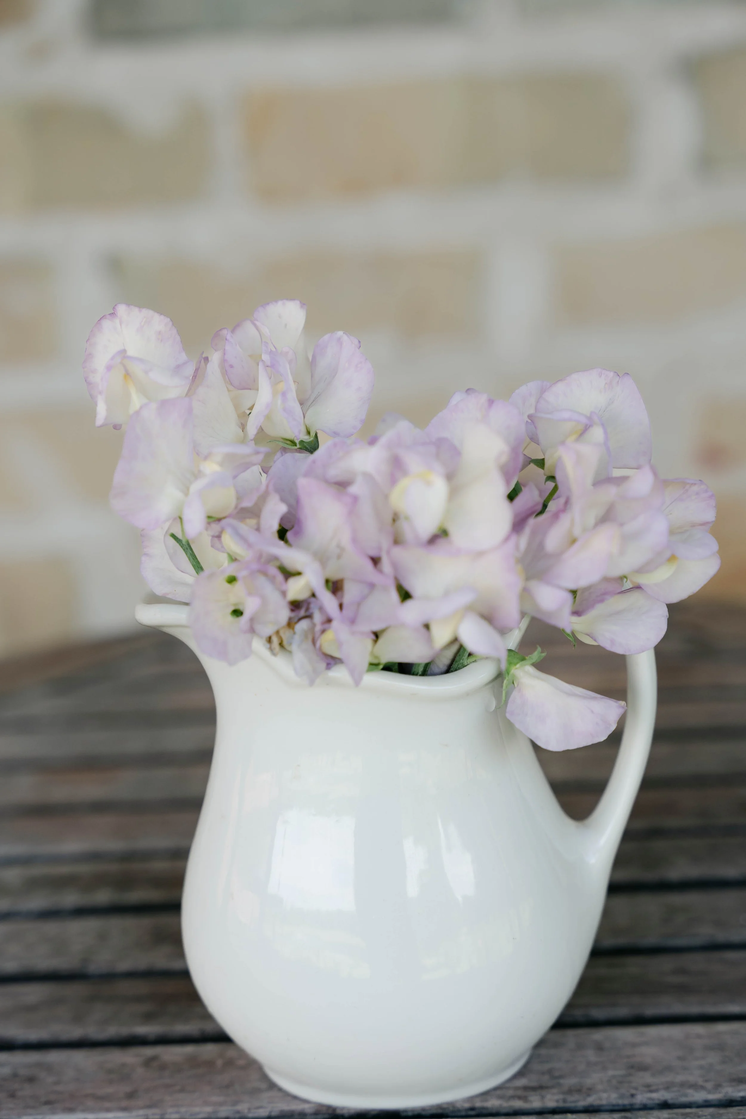 Sweet Pea: High Scent