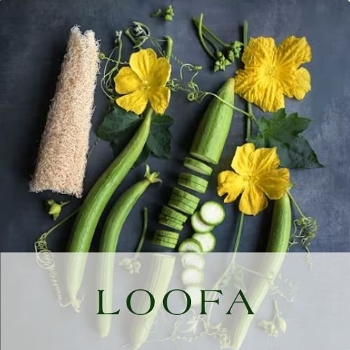 loofa.jpg