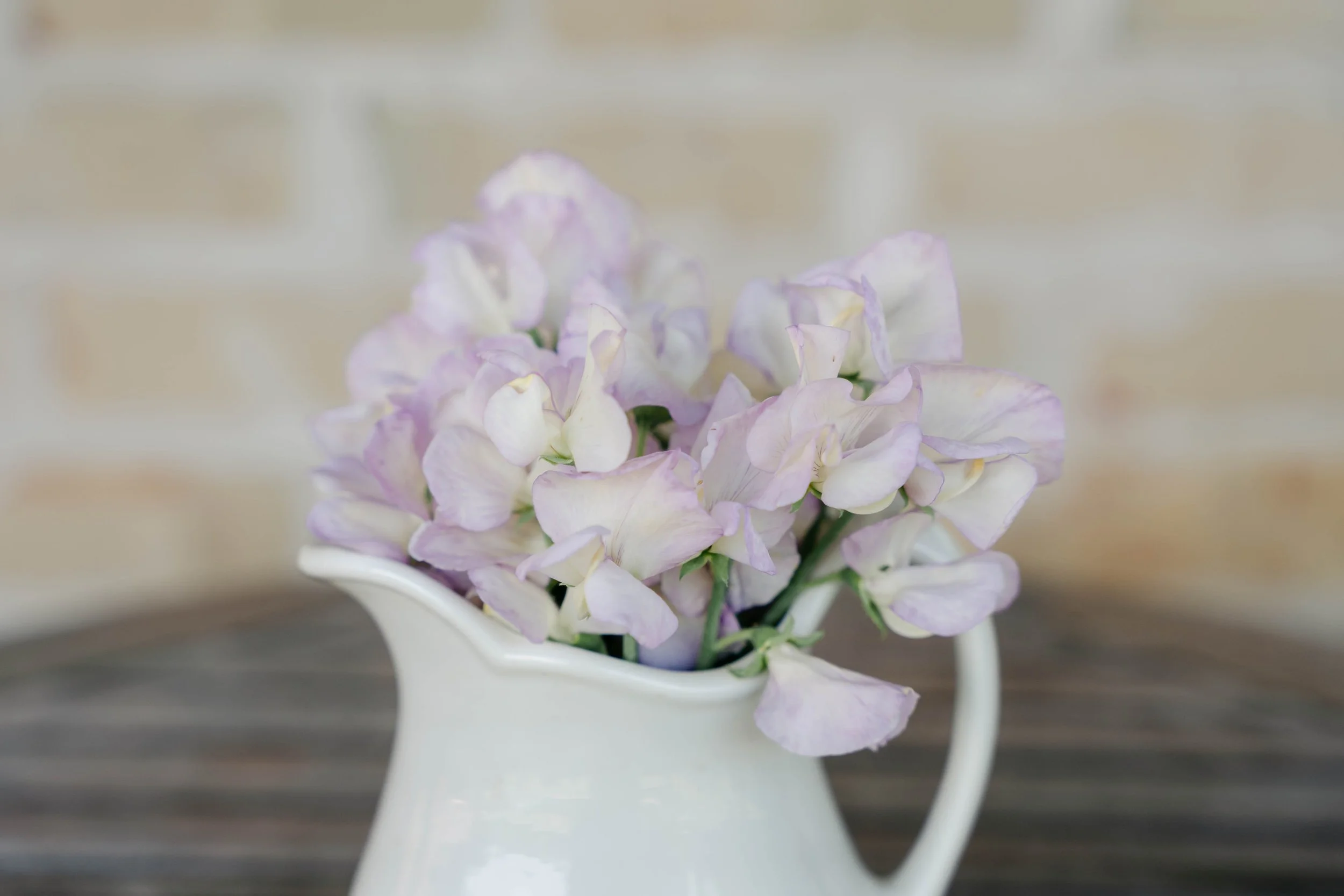 Oklahoma SweetPeas-HighScent.jpg