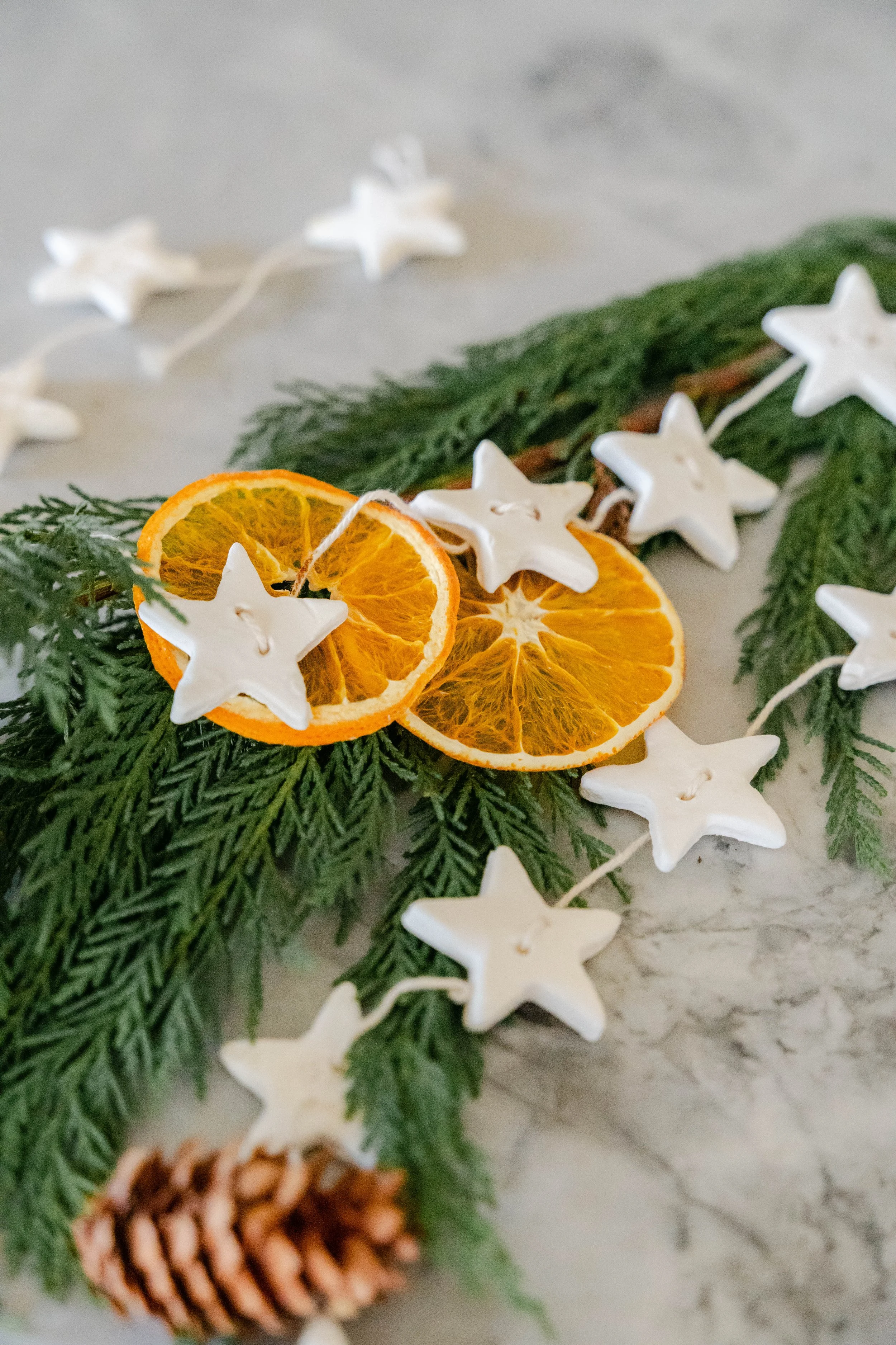 diy-dried-orange-garland-kit-holiday-craft-guthrie-ok.jpg