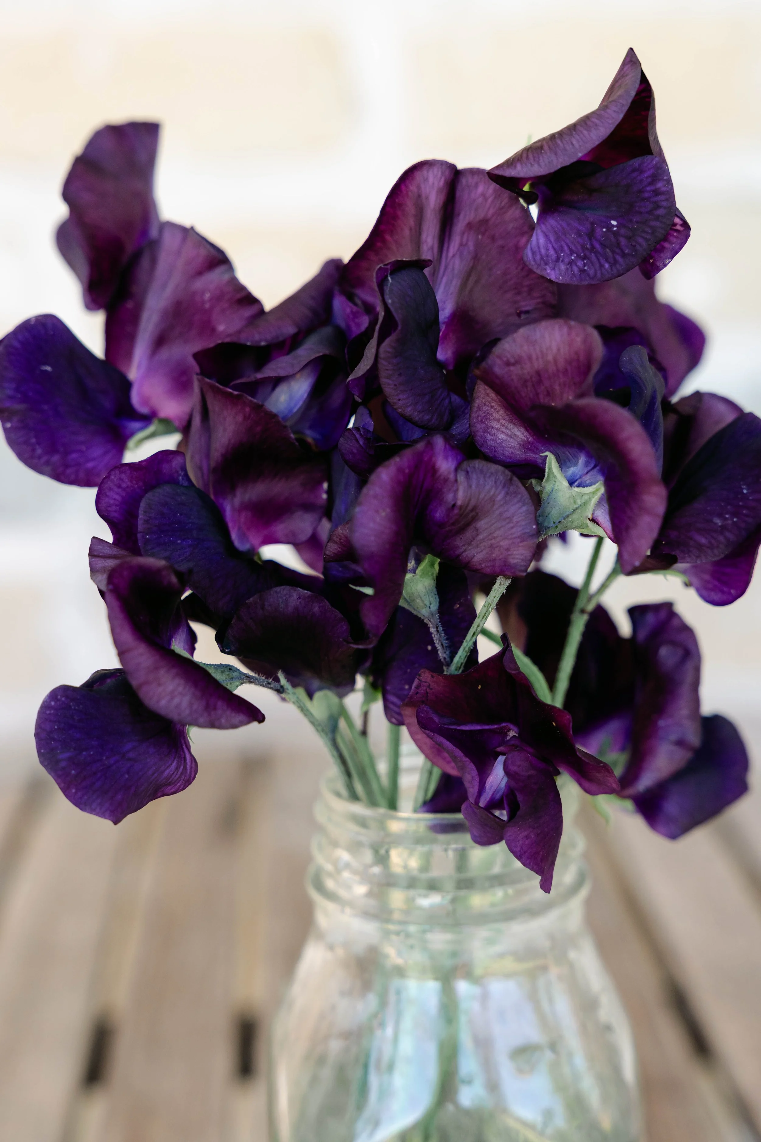 OklahomaGrownSweetPeas-SunshineNavy.jpg