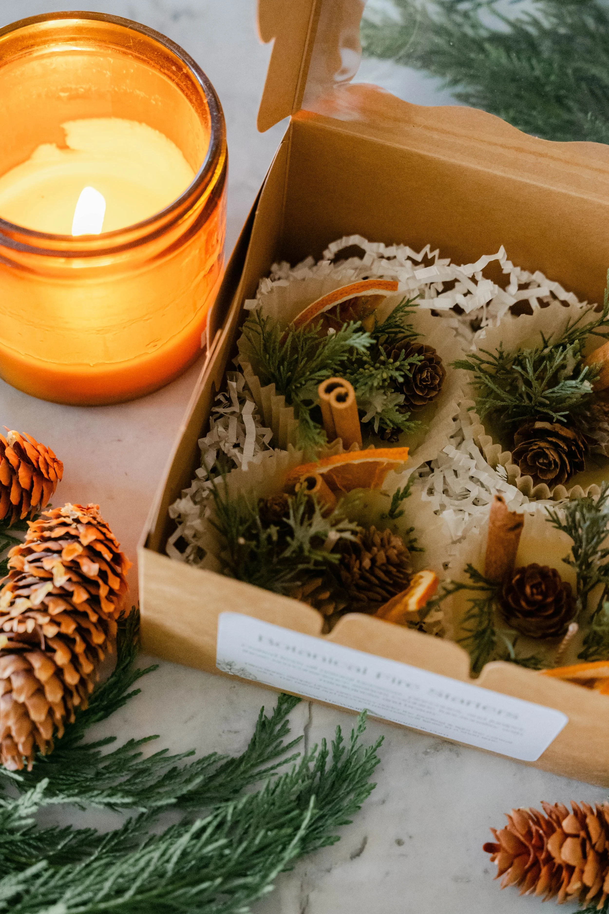 All-Natural Botanical Fire Starters | Beeswax & Pine Cone Firestarters | Eco-Friendly
