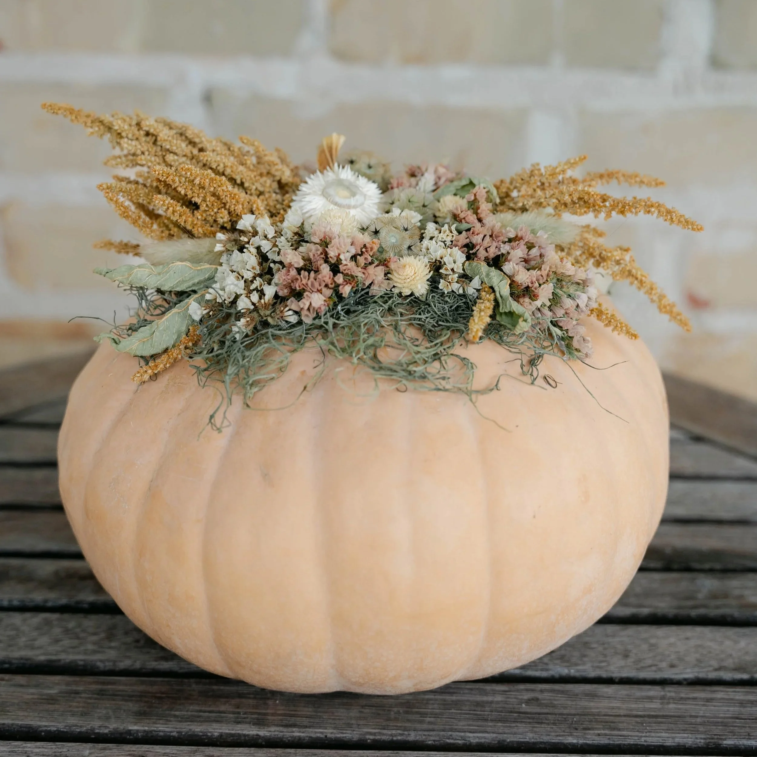 EdmondOklahomaPumpkins.jpg