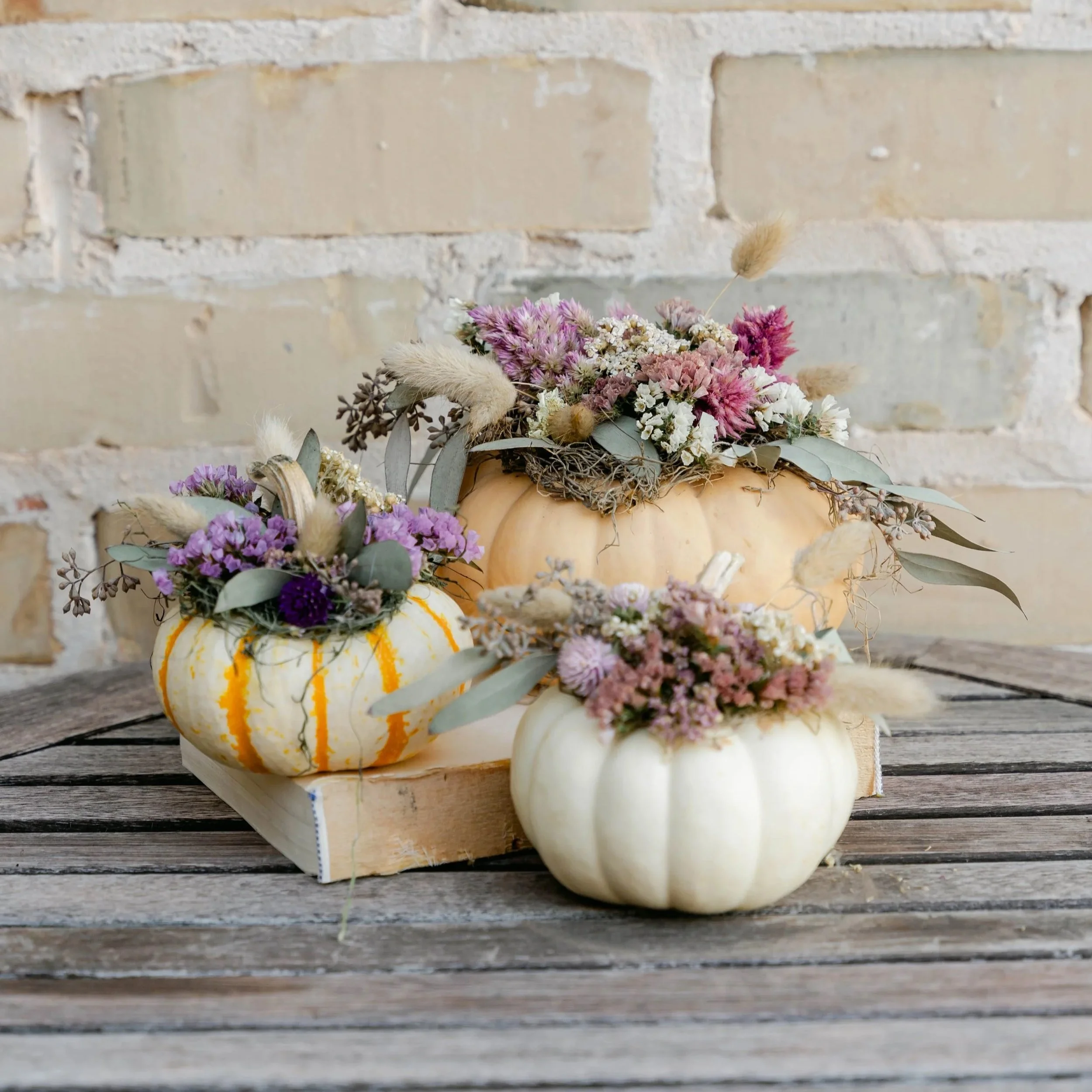 Seasonal_blooms_oklahoma.jpg