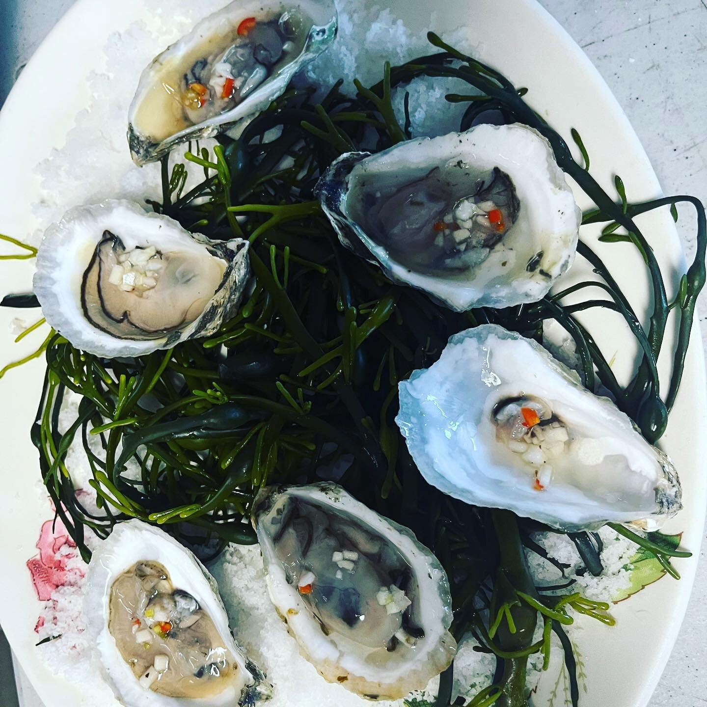 Maine oyster socials are a fabulous way to celebrate &ldquo;I Do&rsquo;s&rdquo; ✨ #weddingcoordination