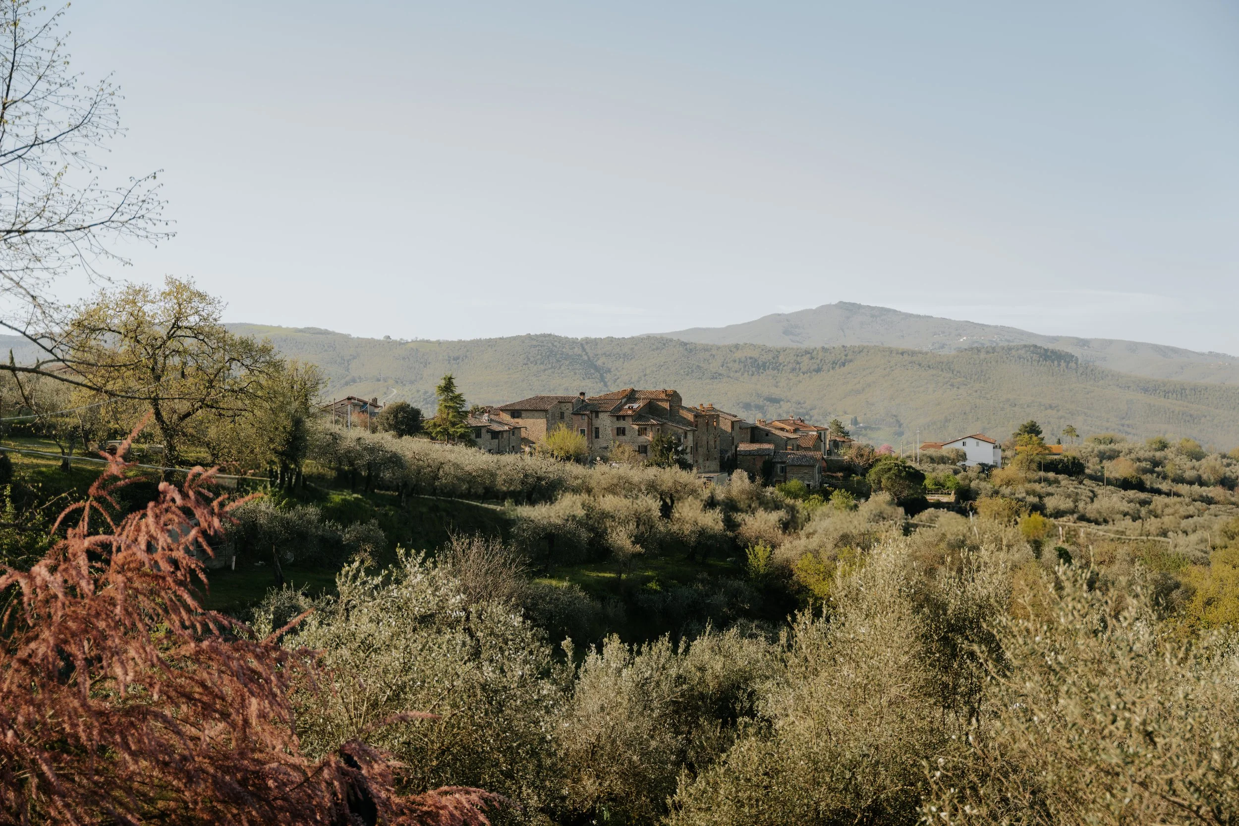 D&E_MORNING-1.jpg