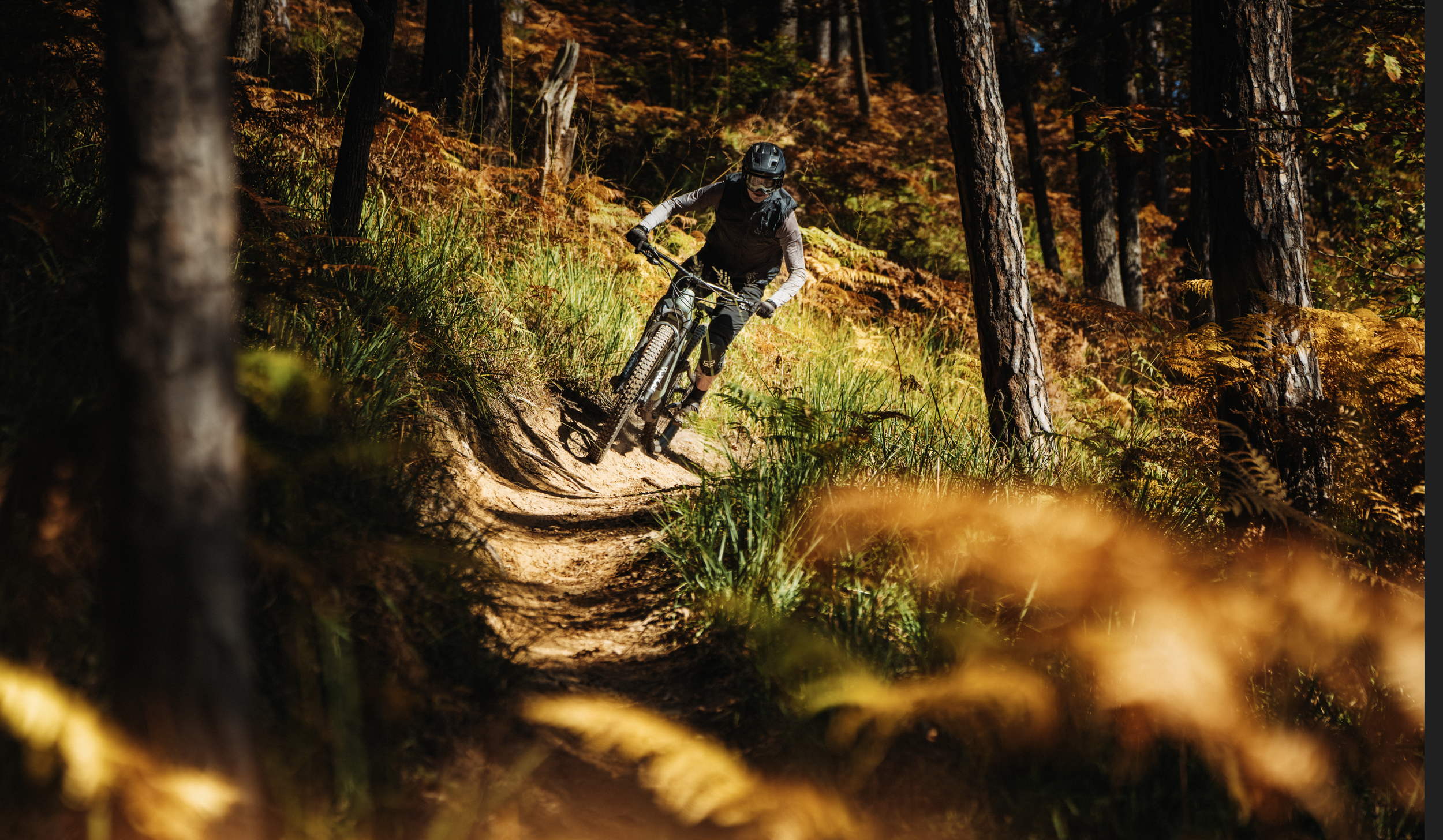 Elan E-Bikes