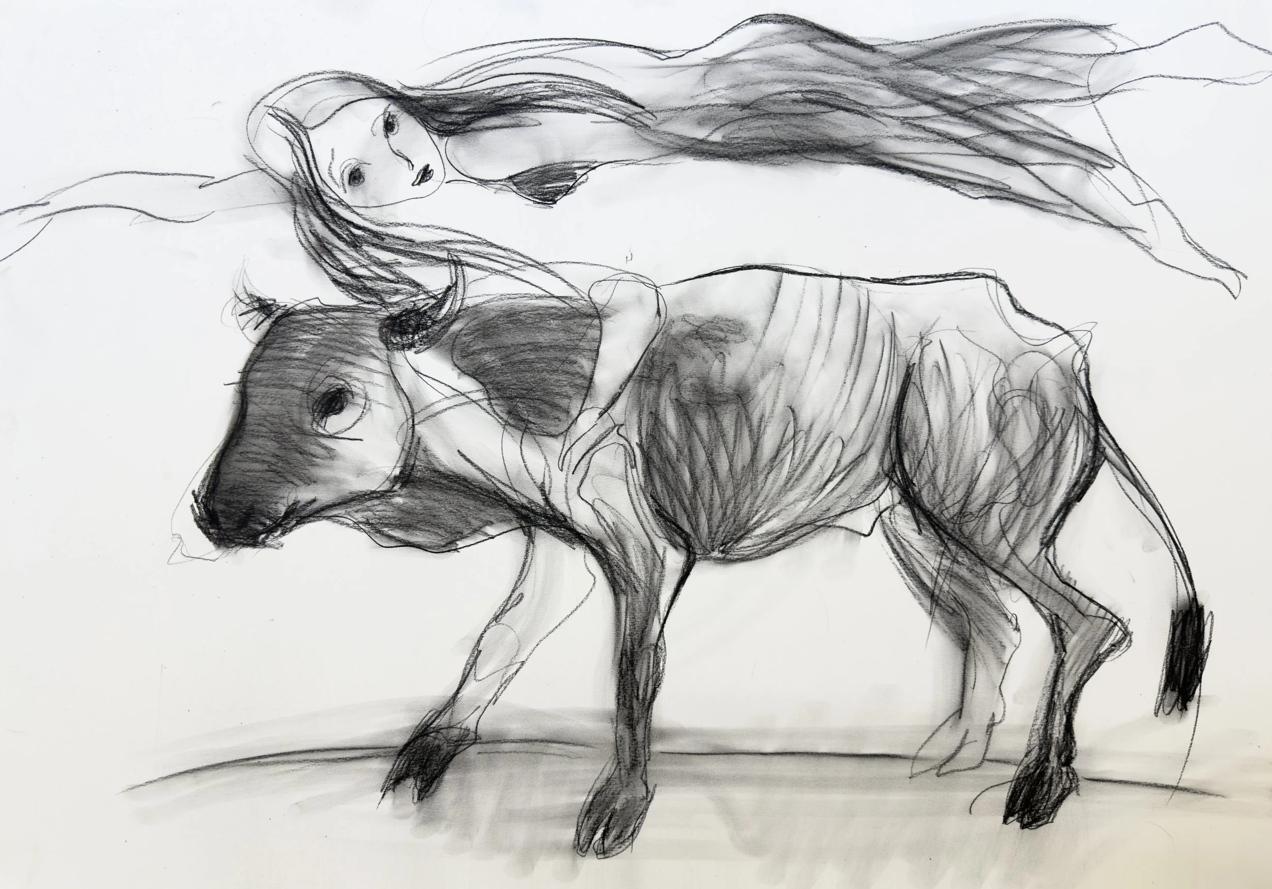 Laimė ir šventoji karvė 59,4x84,1cm /Laumė et la vache sacré 59,4x84,1cm, dessin pierre noir, carbon