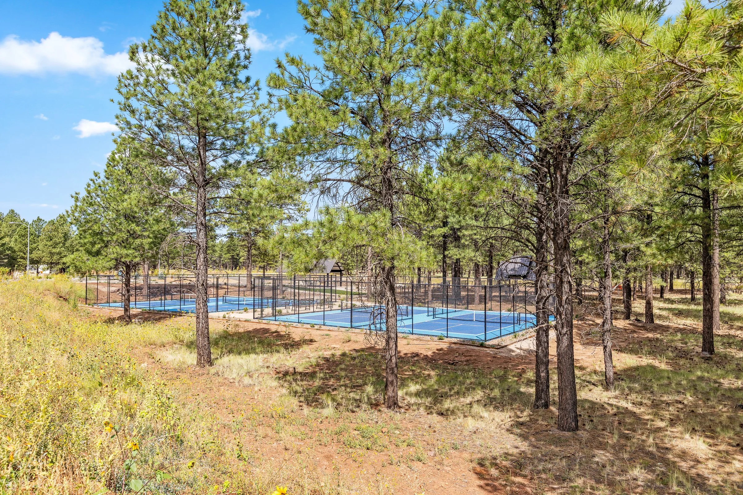 Timber Sky Park-1.jpg
