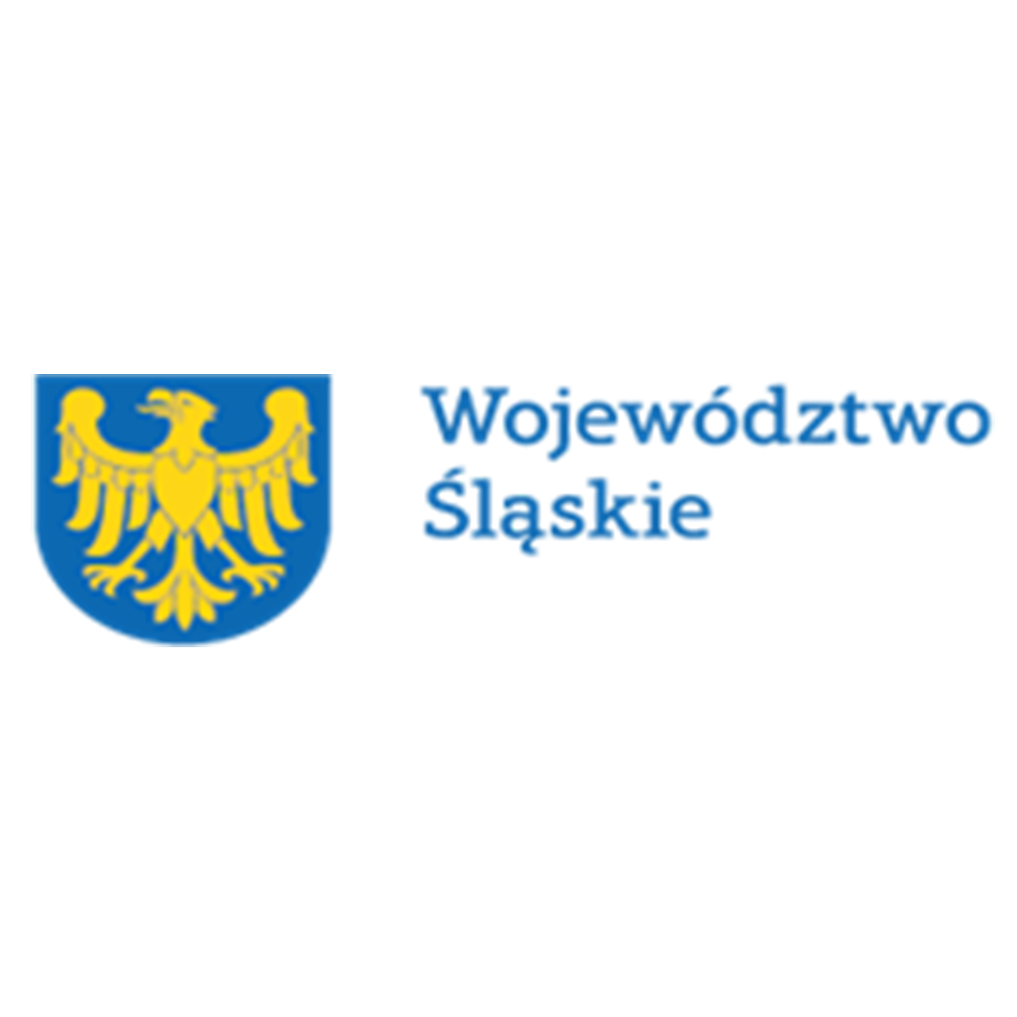 “Mosty Przyszłości - edukacja, aktywizacja i integracja Romów na Śląsku”