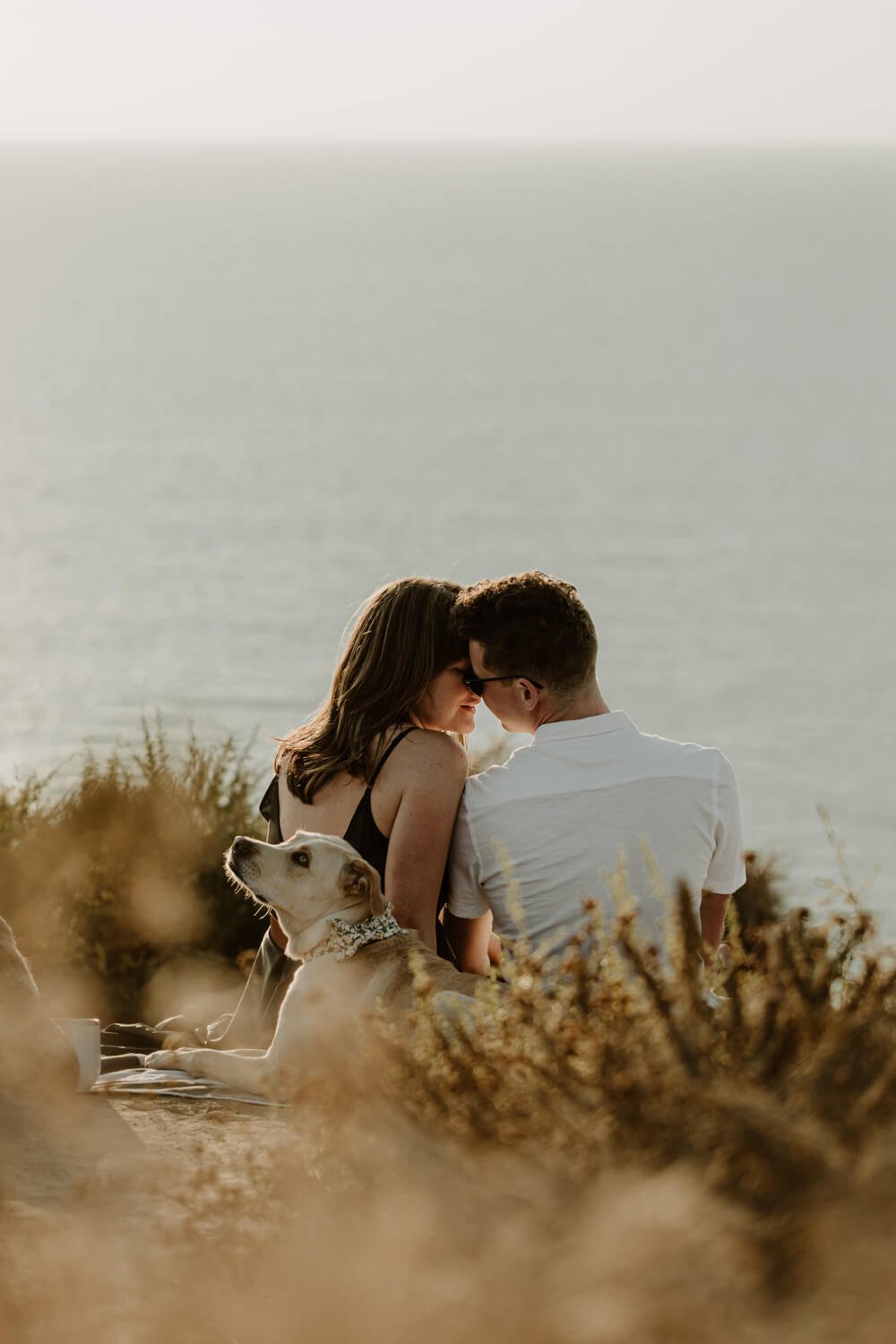 Cute-Engagement-Shoot-With-dog-kissing