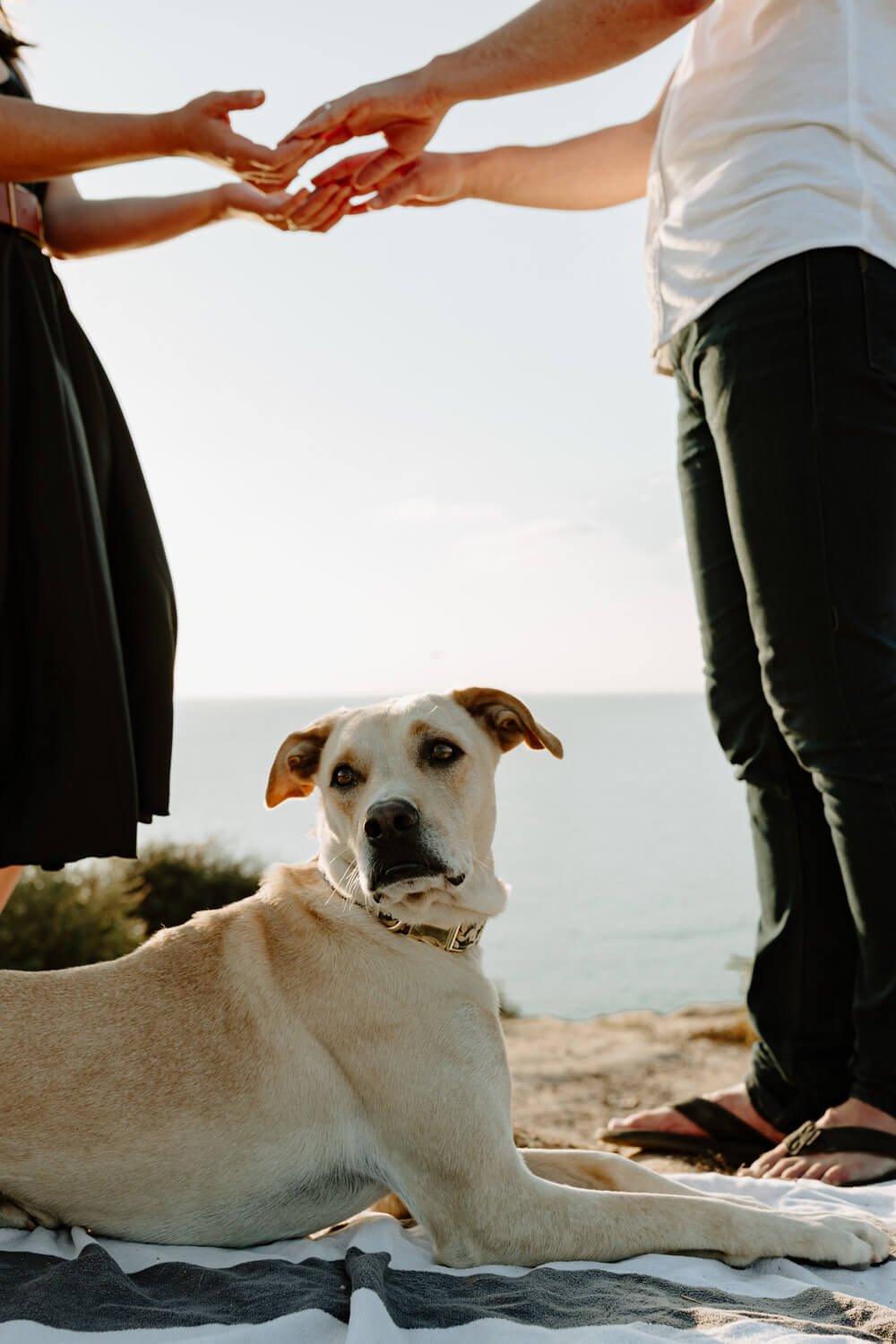 Del-Mar-Couples-Shoot-With-Dog
