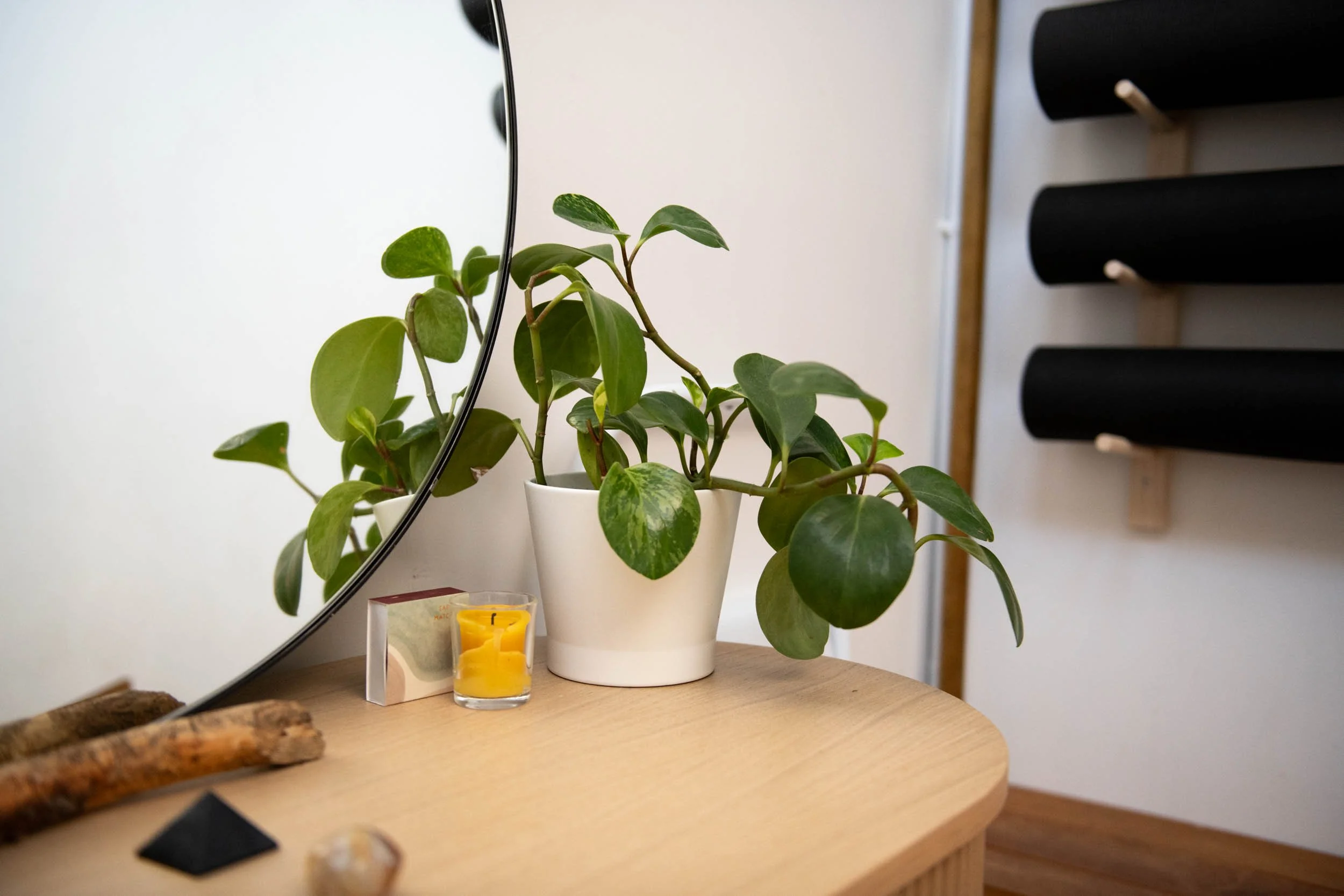 ©JanelGion Creative Studios-brand-photgrapher-WovenHealers-somatic-therpist-brooklyn-ny