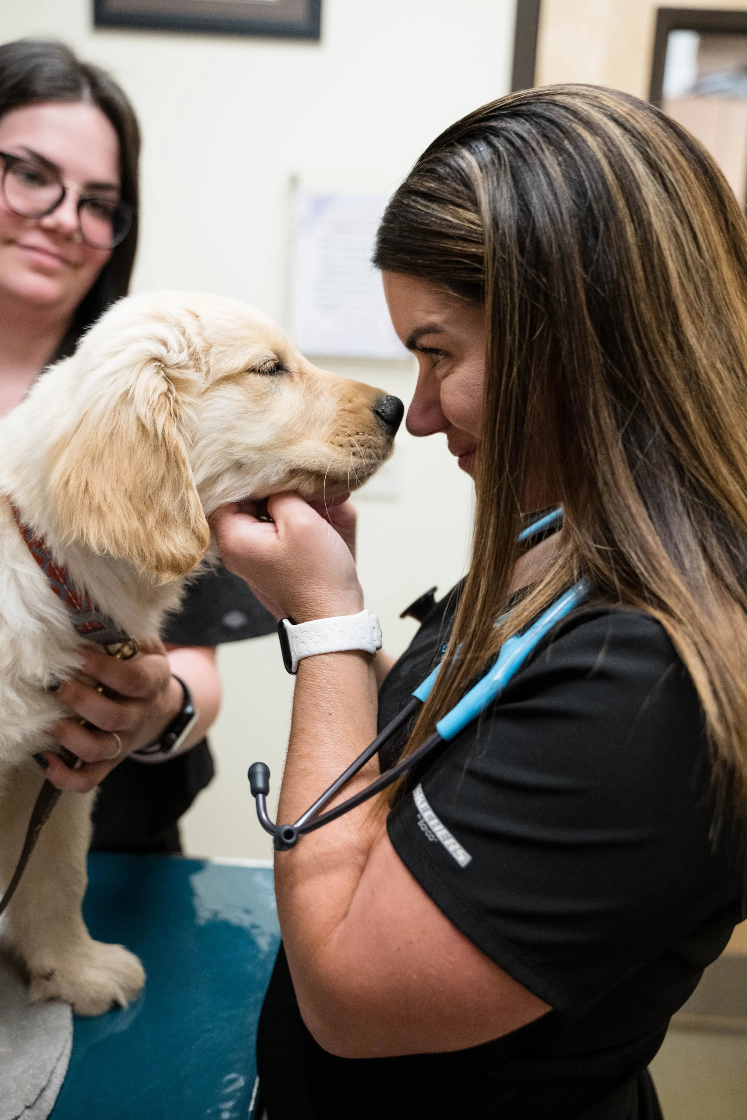 A veterinarian examines a puppy with a stethoscope while another person watches.