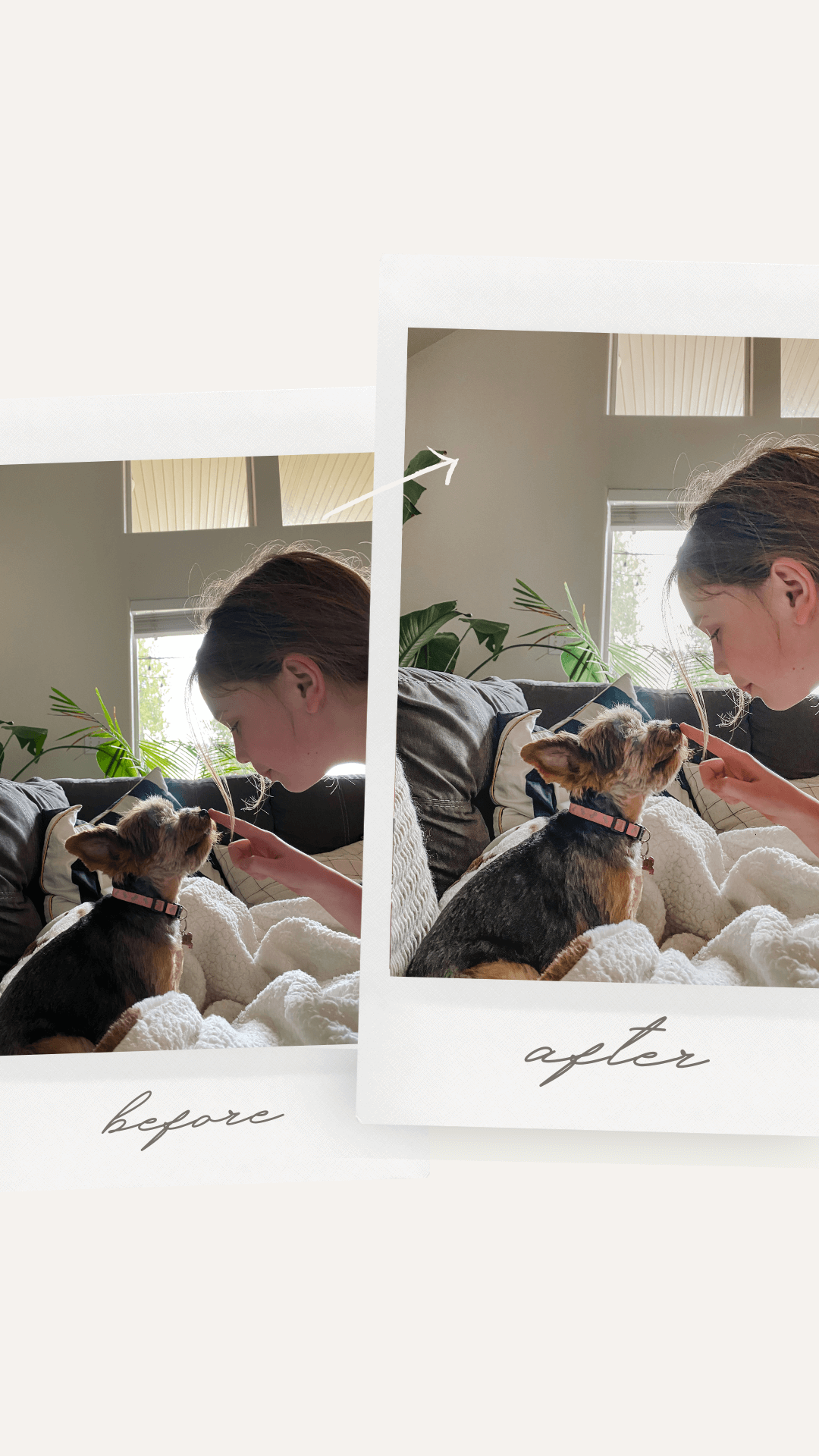 A before and after comparison of a photo of a girl with her yorkie dog on a couch, showing the result of professional editing.