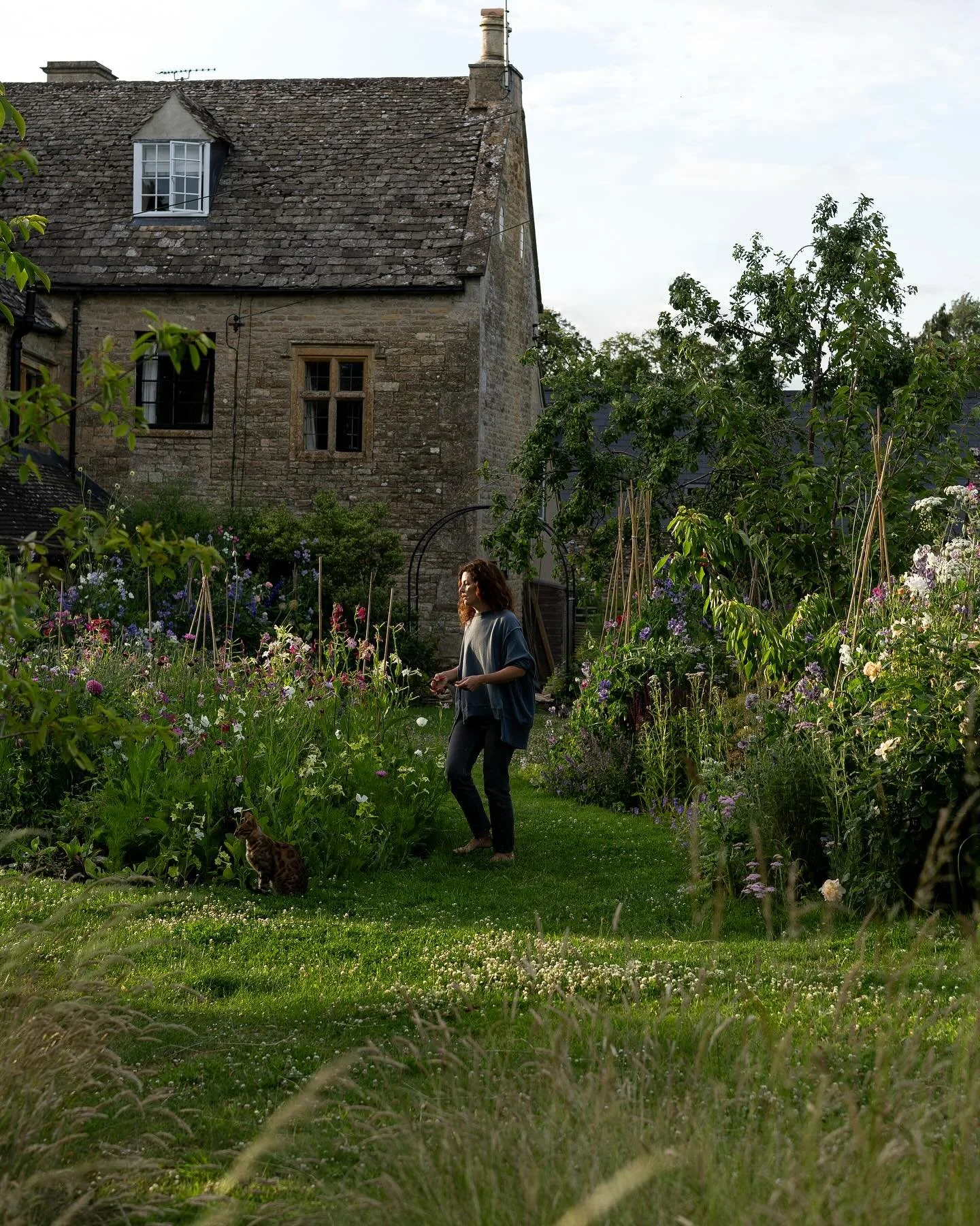 Some late June scenes from my garden, captured beautifully by the sublime @verityrivers 🤍 Mid-summer cornflowers in dreamy shade of pink lilac and purple, scented nicotiana, white and pink lavatera, loads of new cosmos &amp; always my favourite &lsq