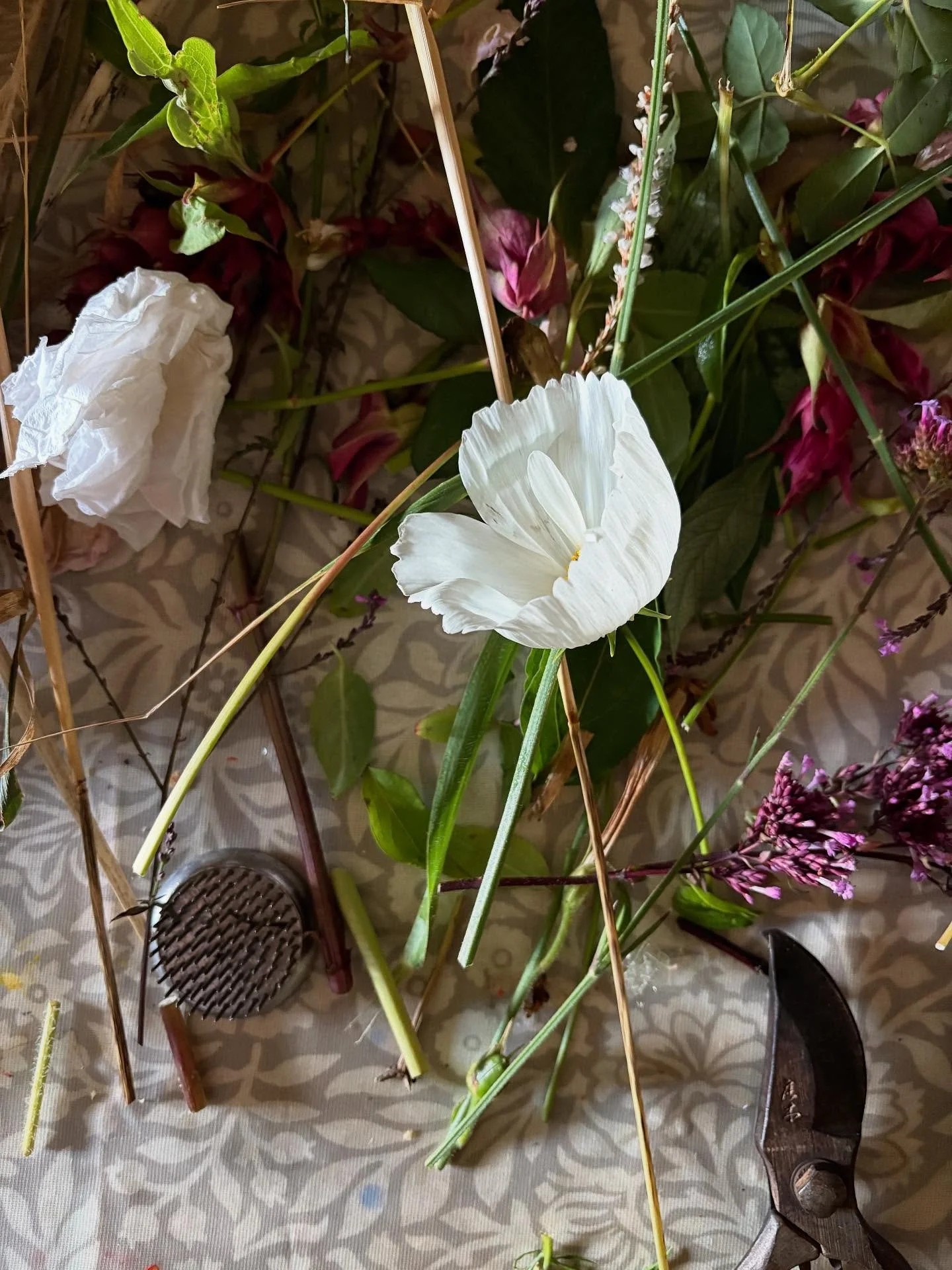 My first couple of days of ikebana 🇯🇵 Its not easy!! 🌸All flowers from my garden, weed grasses from the verge and himalayan honeysuckle from my friend Izzi 🌾 Some are too messy, the bowl is the wrong shape for a moribana, all that. BUT all that a