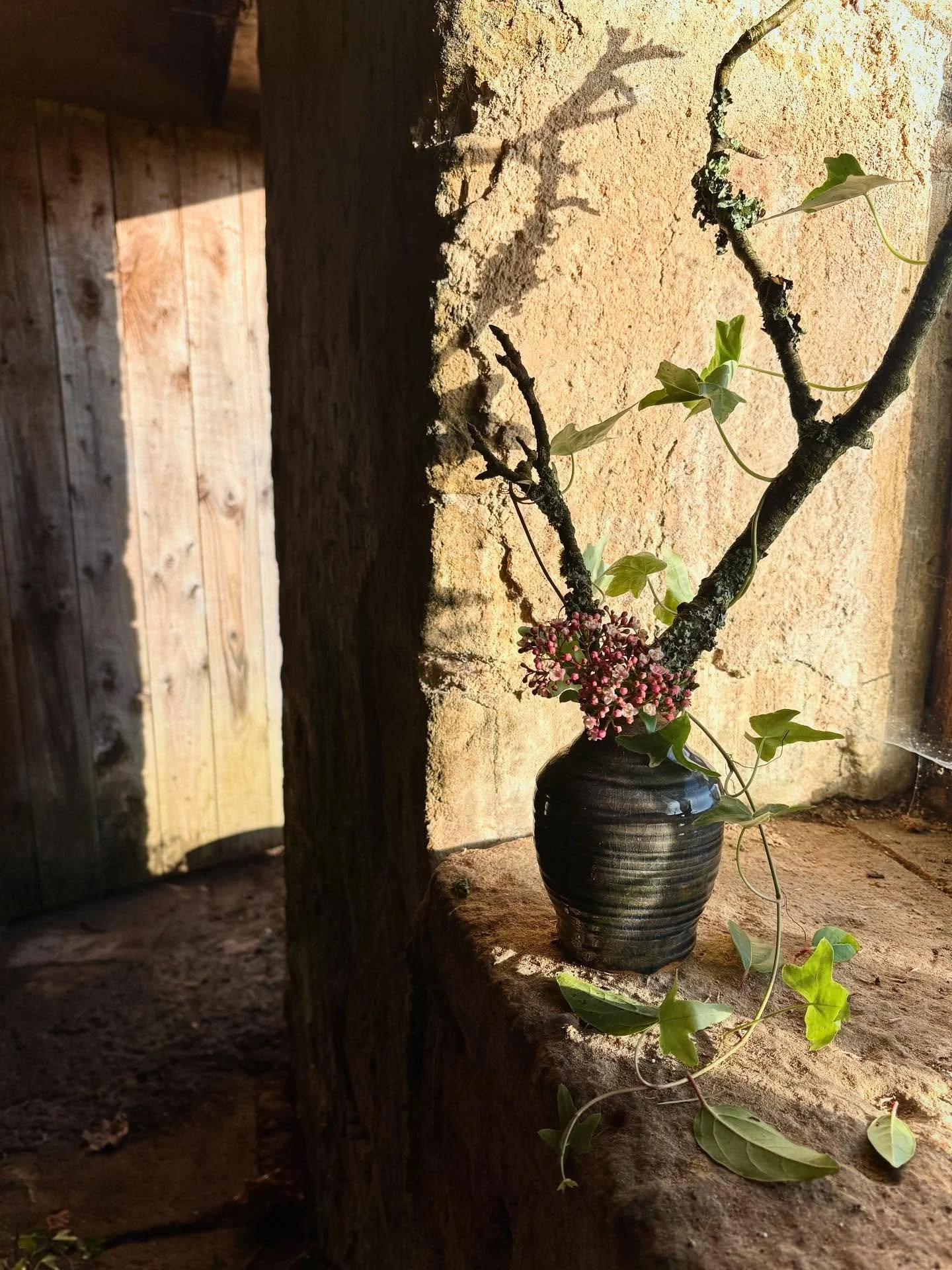 The light and dark and the shadows and everything shiny with rain round here at the moment 💫 And some playtime making tsubo ikebana with lichen covered apple tree branches 🪵 twisted ivy and viburnum blossom 🌸