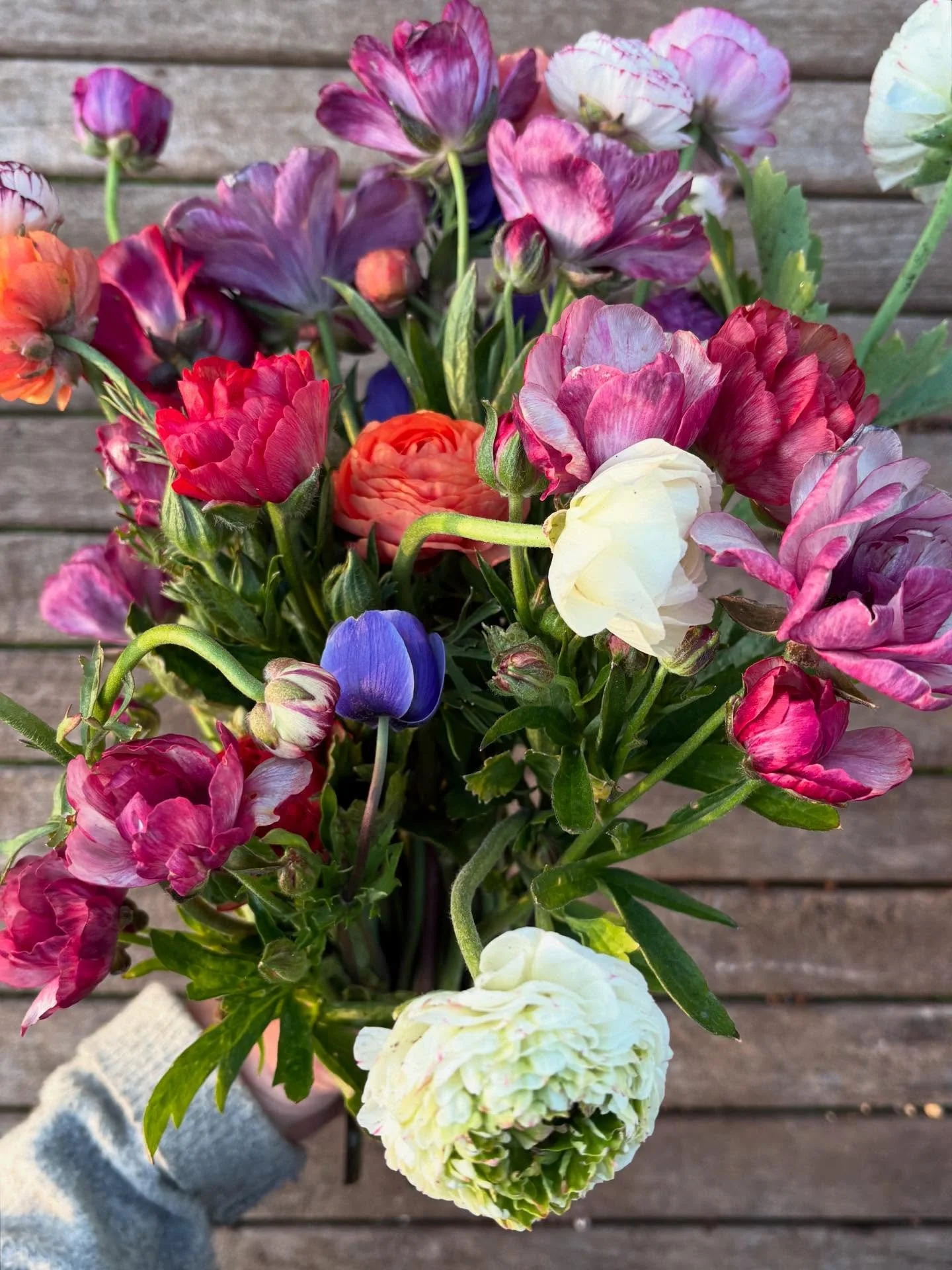 A new offering from me to you 🌸 From April next year, I&rsquo;ll be opening my garden for small, curated pick your own sessions - 45 minutes with me, where I&rsquo;ll help you create your own bouquet from the small batch, organically grown flowers i